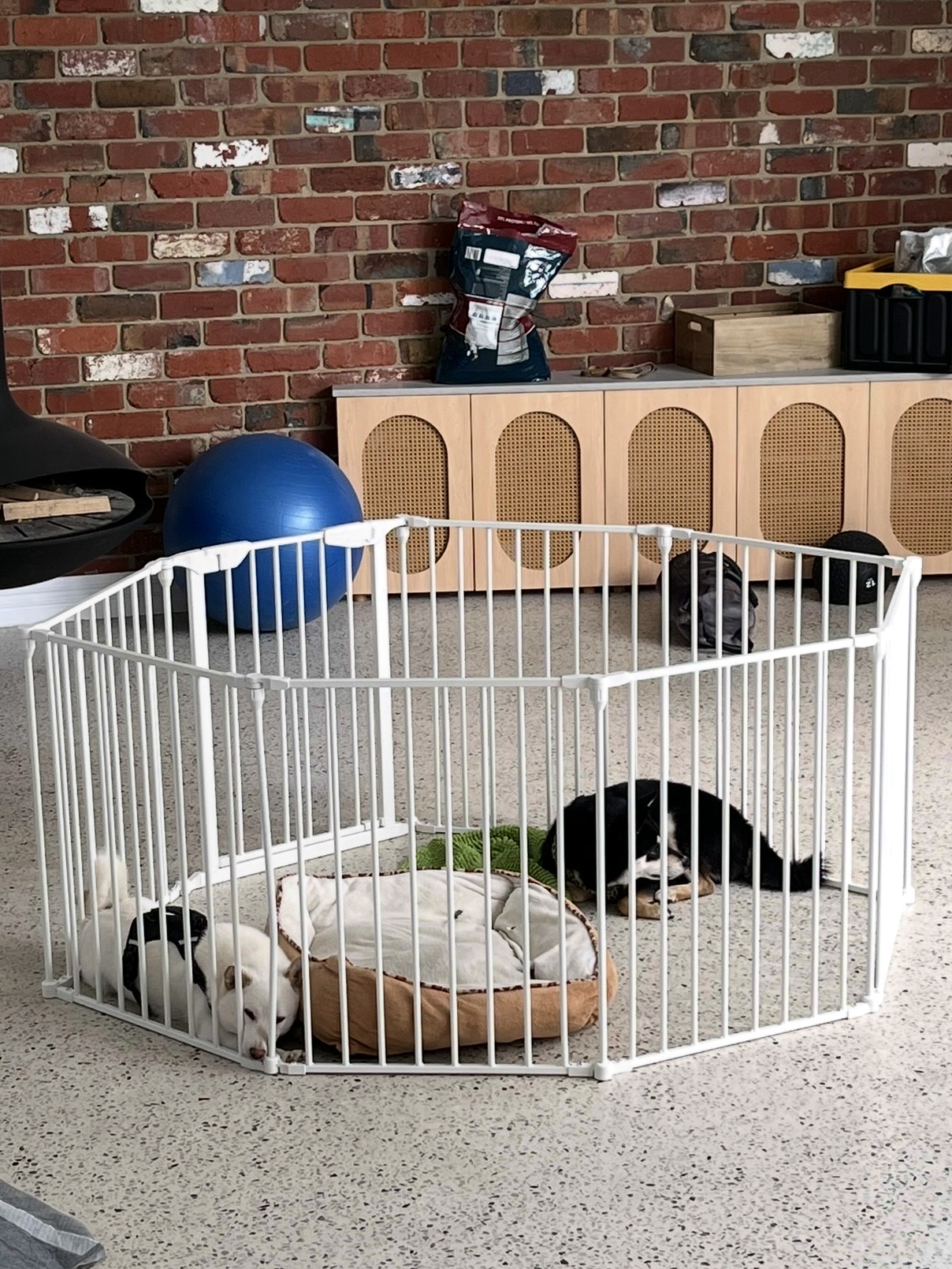 image-15
