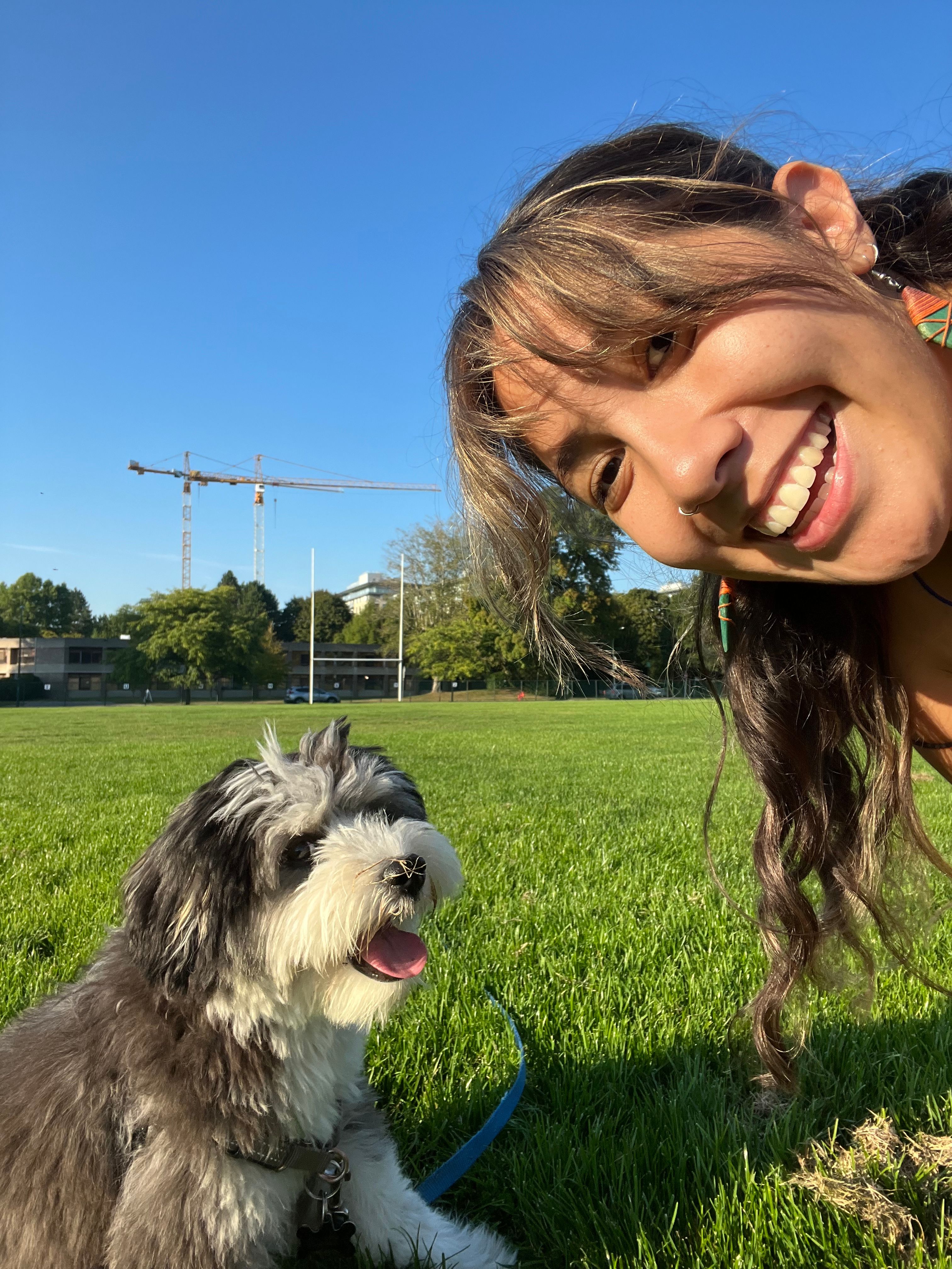 image-0