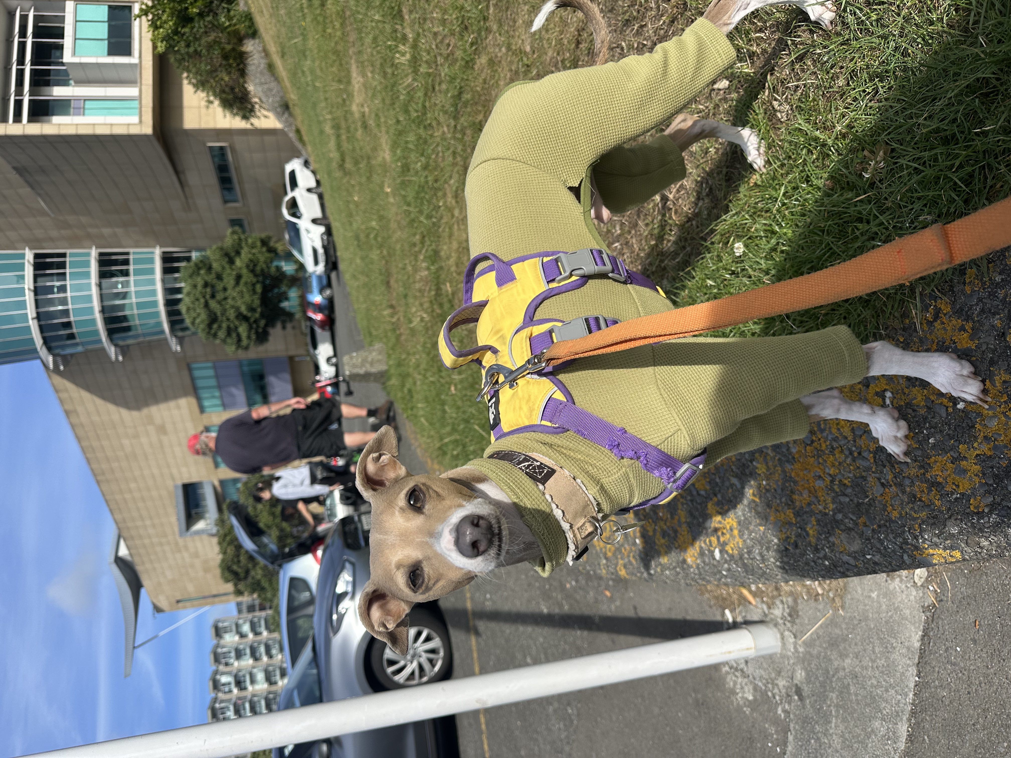 image-8