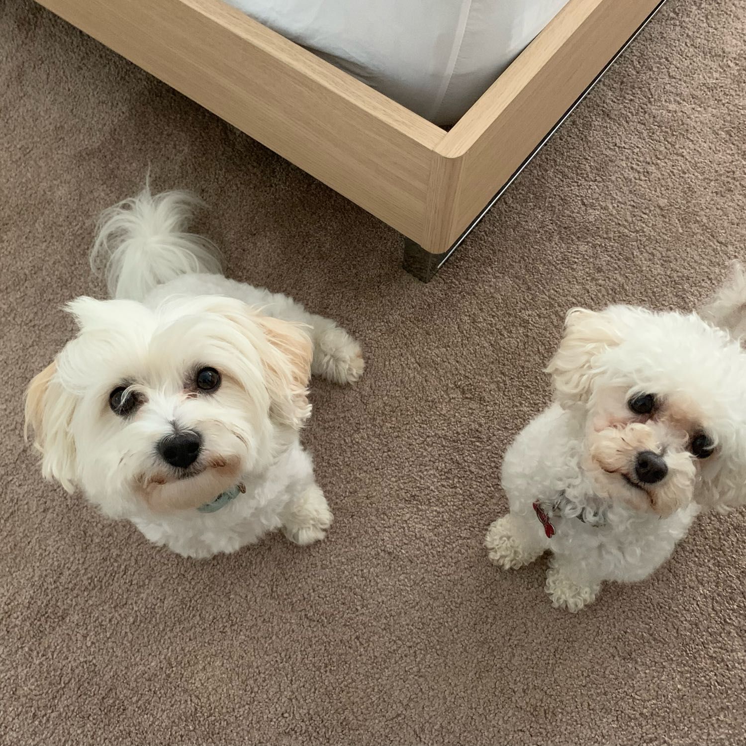 Toby and Abby