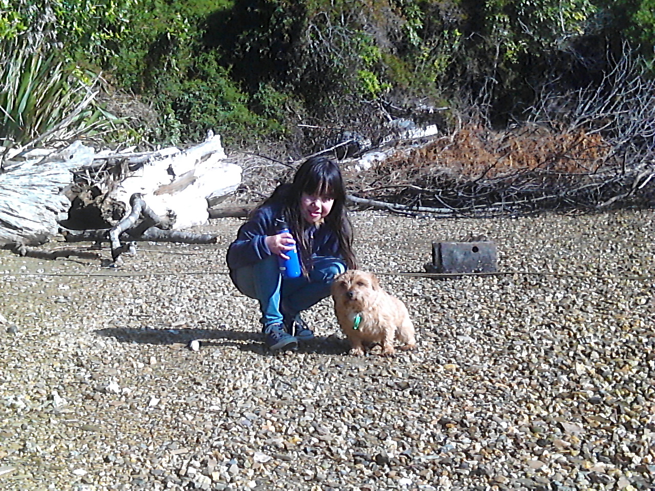 image-4