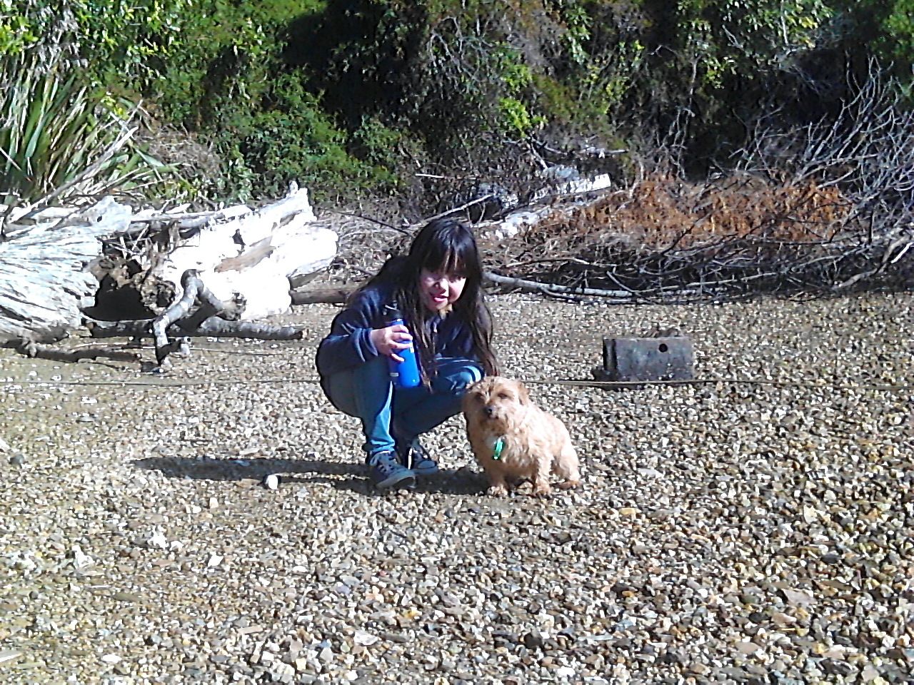 image-4