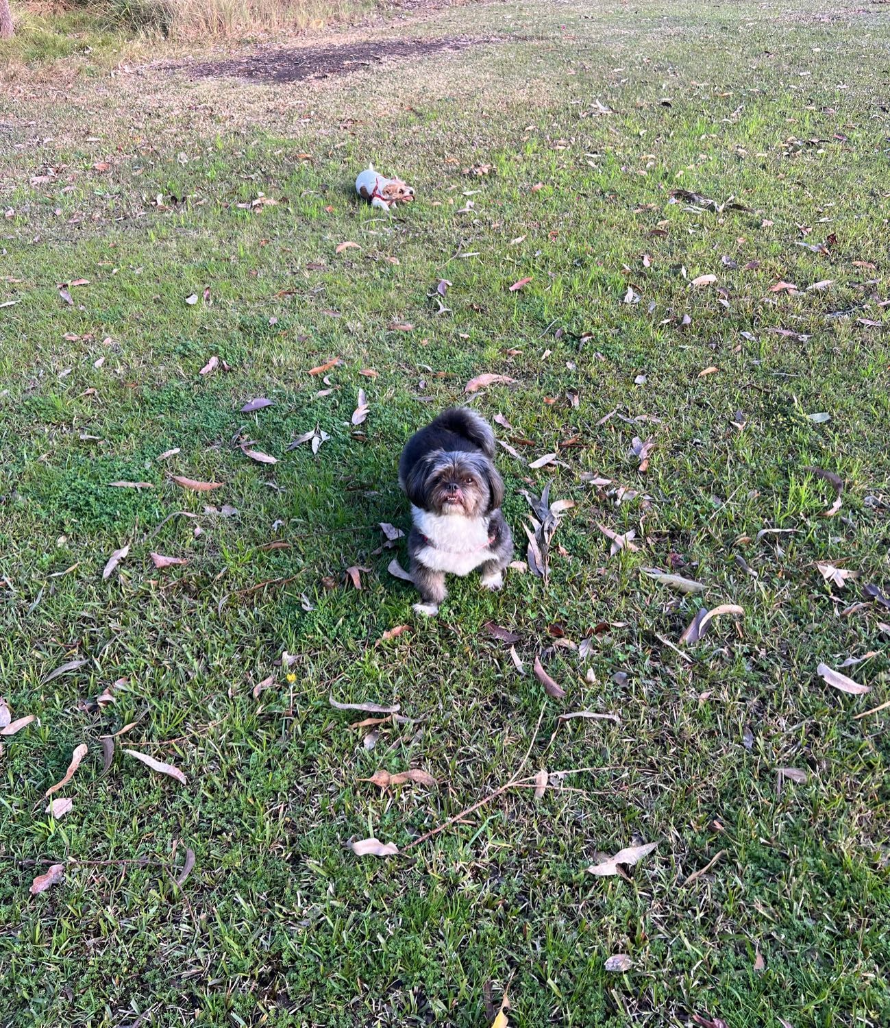 image-5