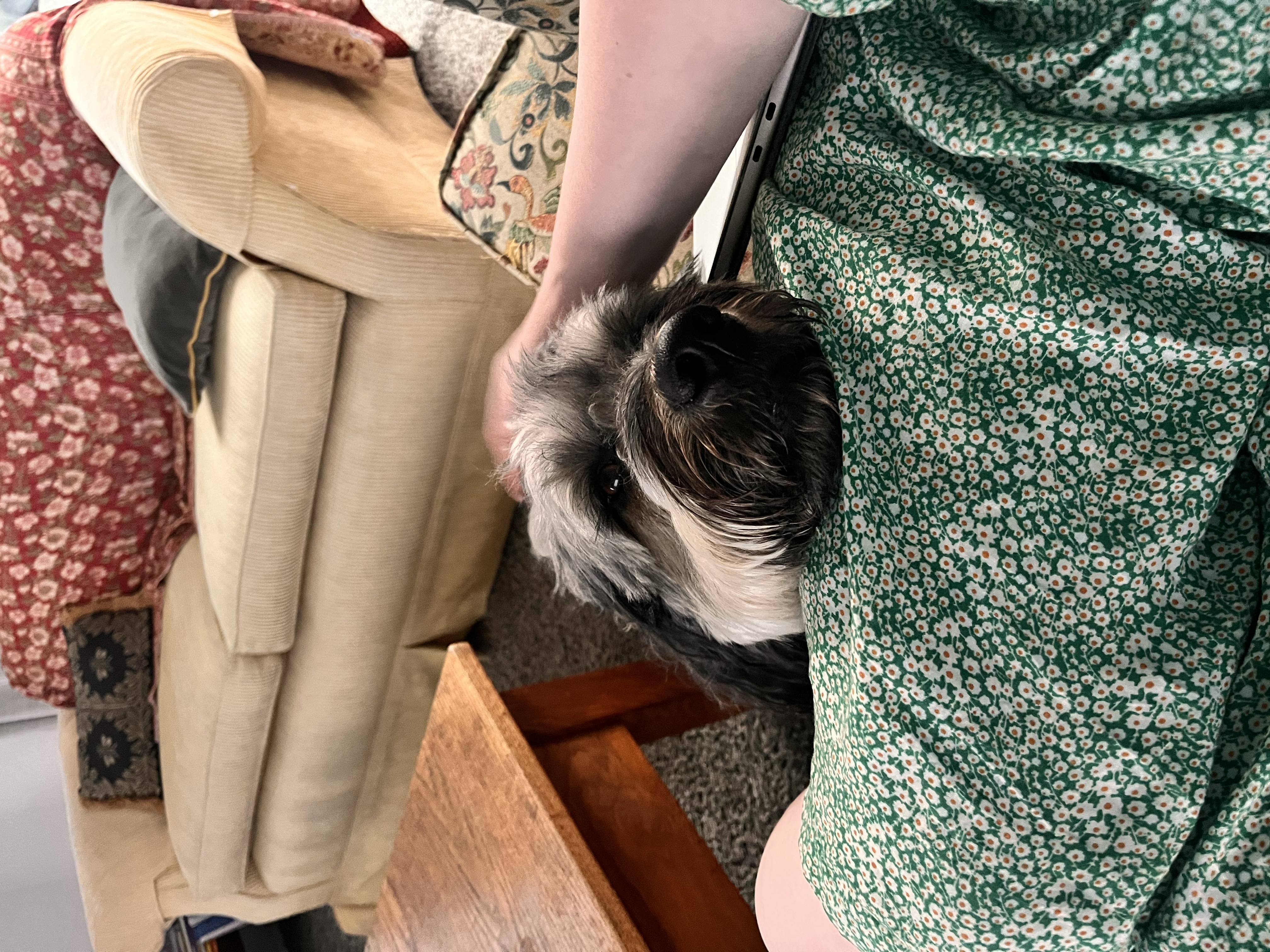 image-13