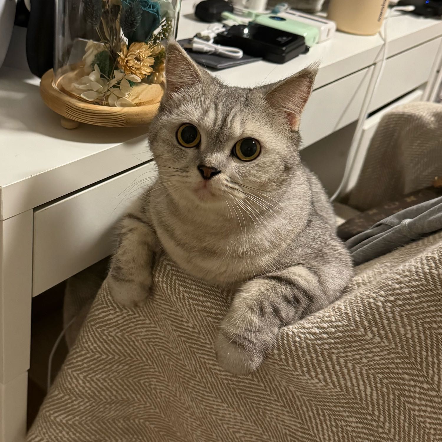 Sassy