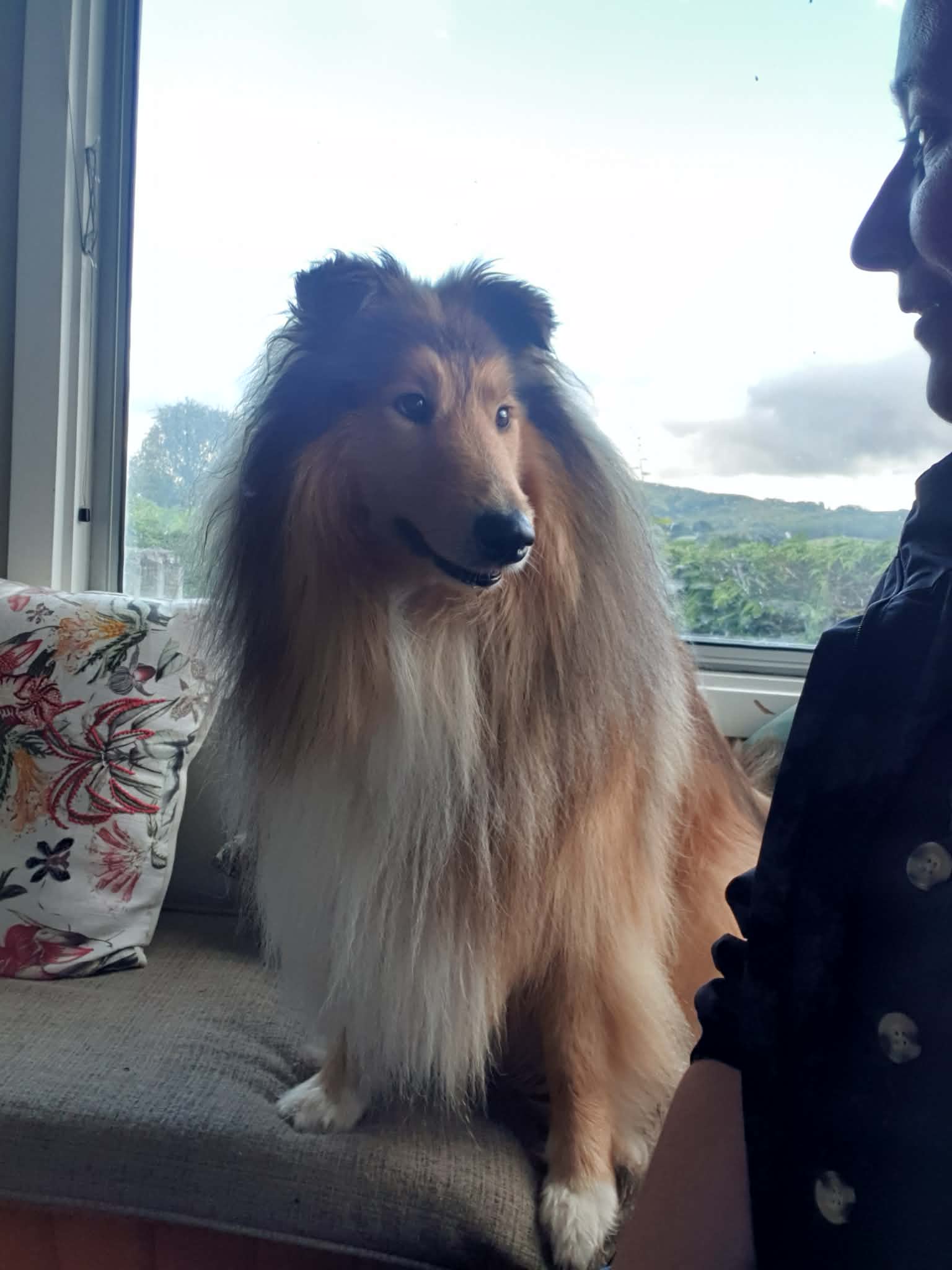 image-4