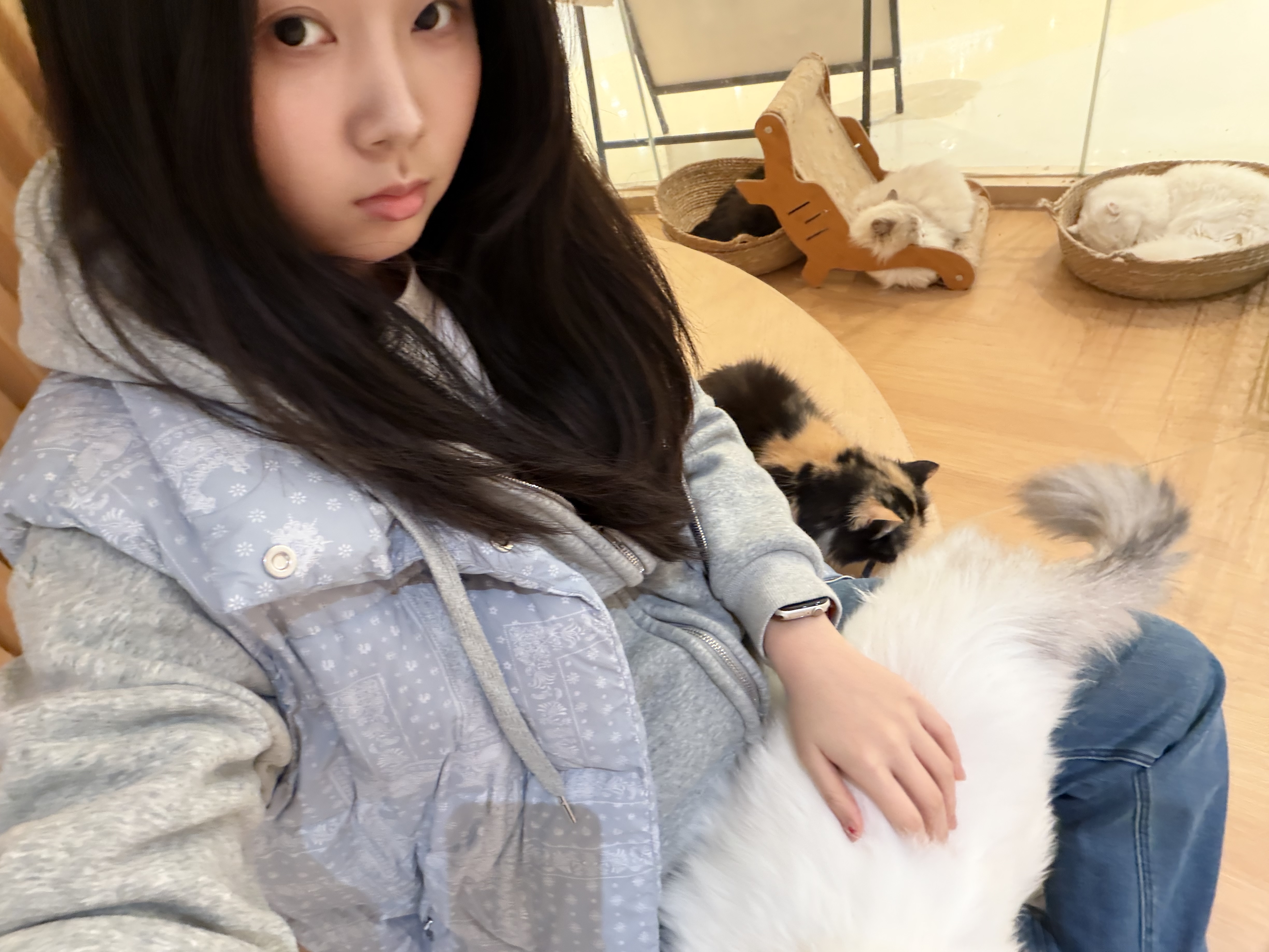 image-5