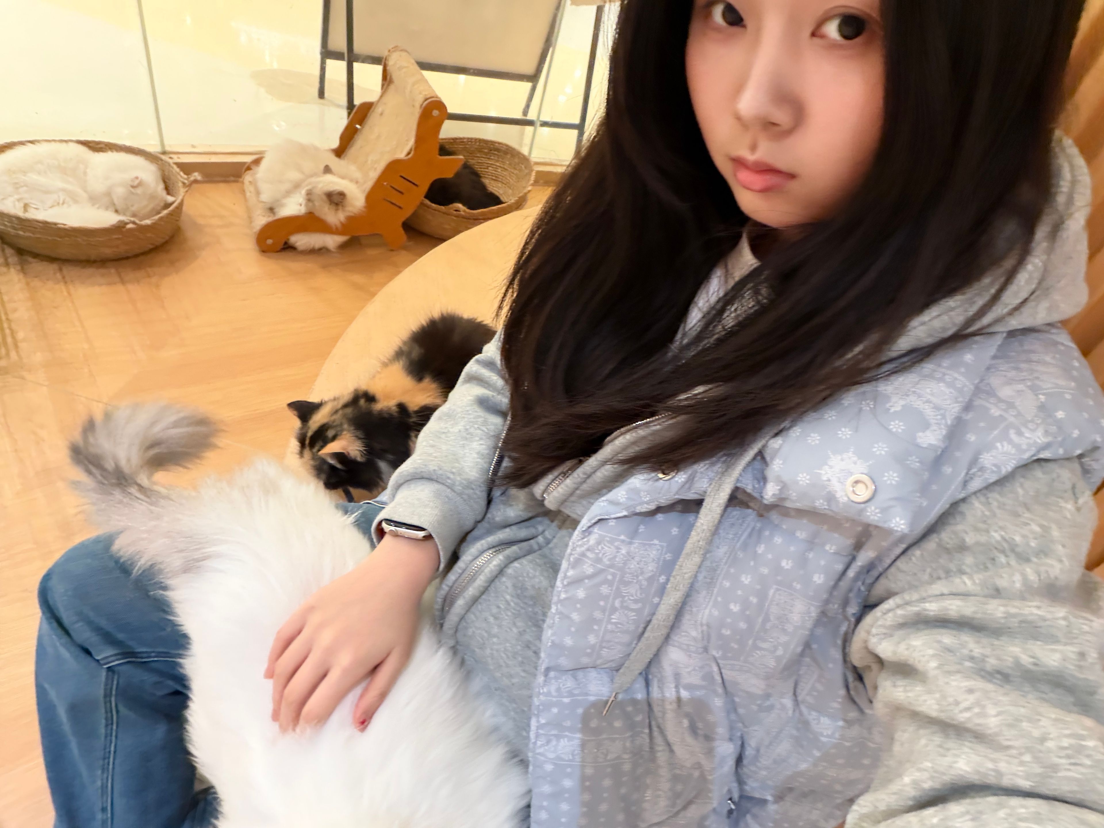 image-5
