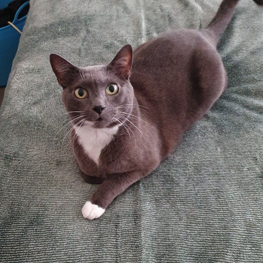 Lily