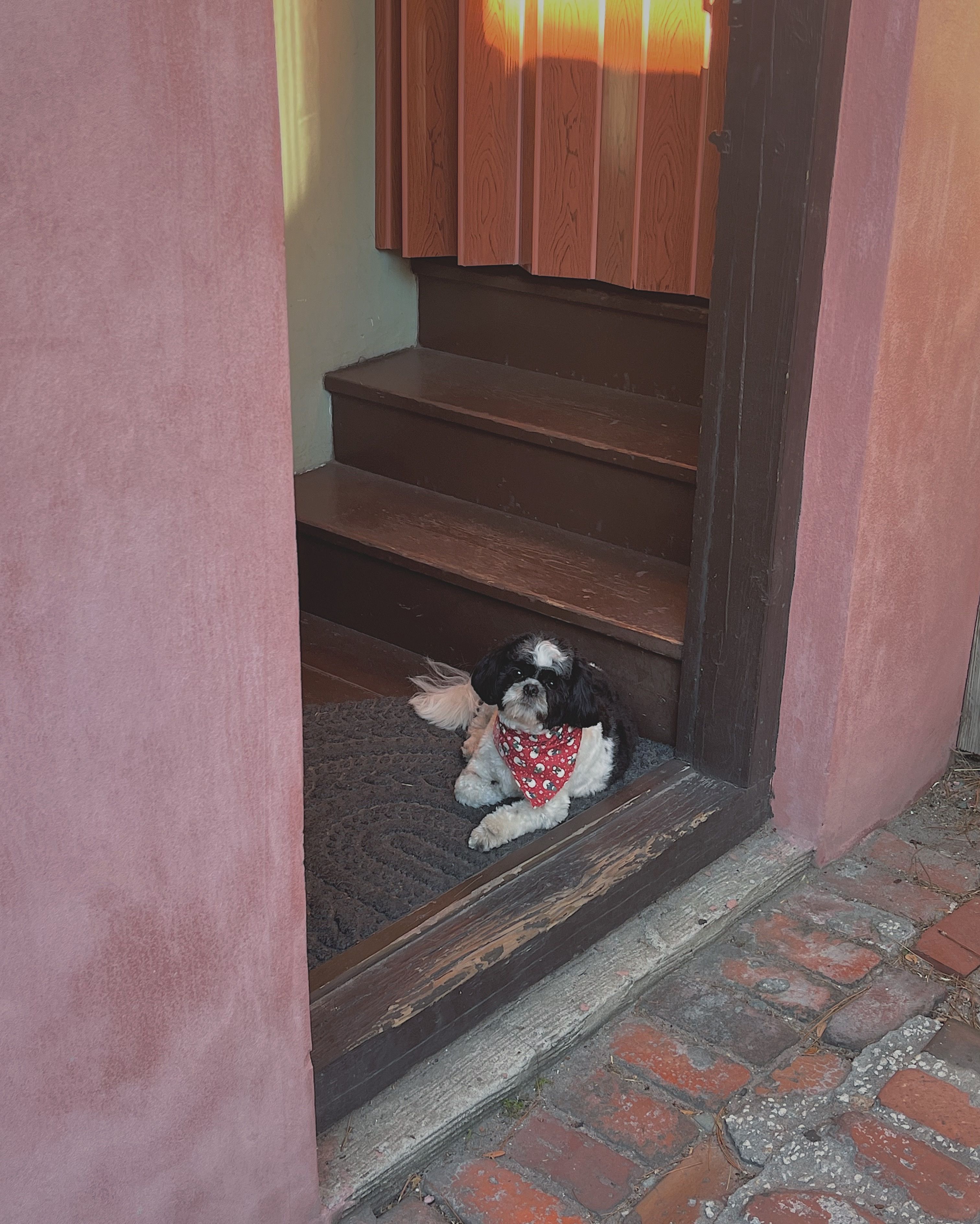 image-4
