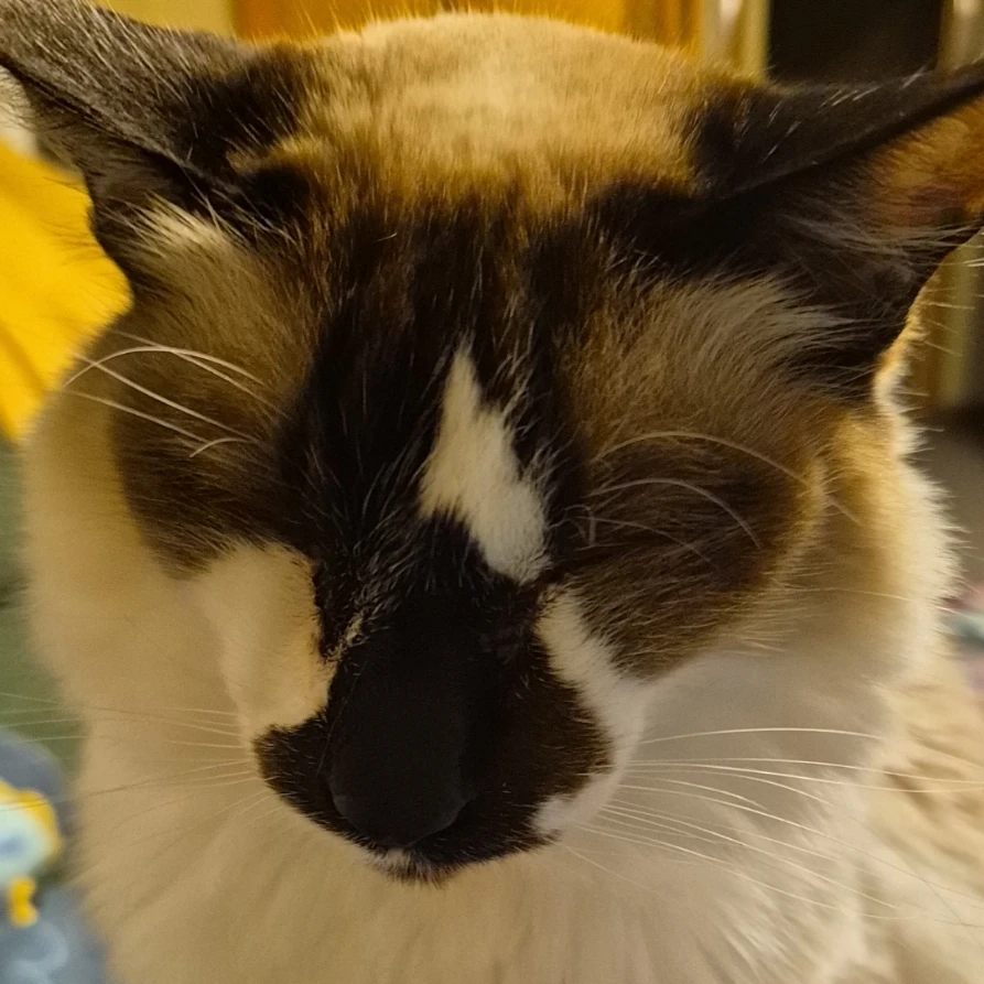 Elsie