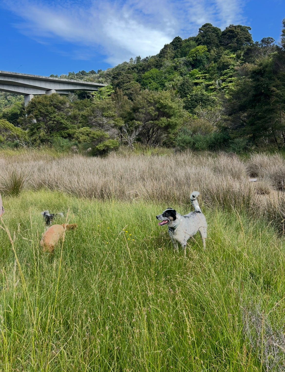 image-9