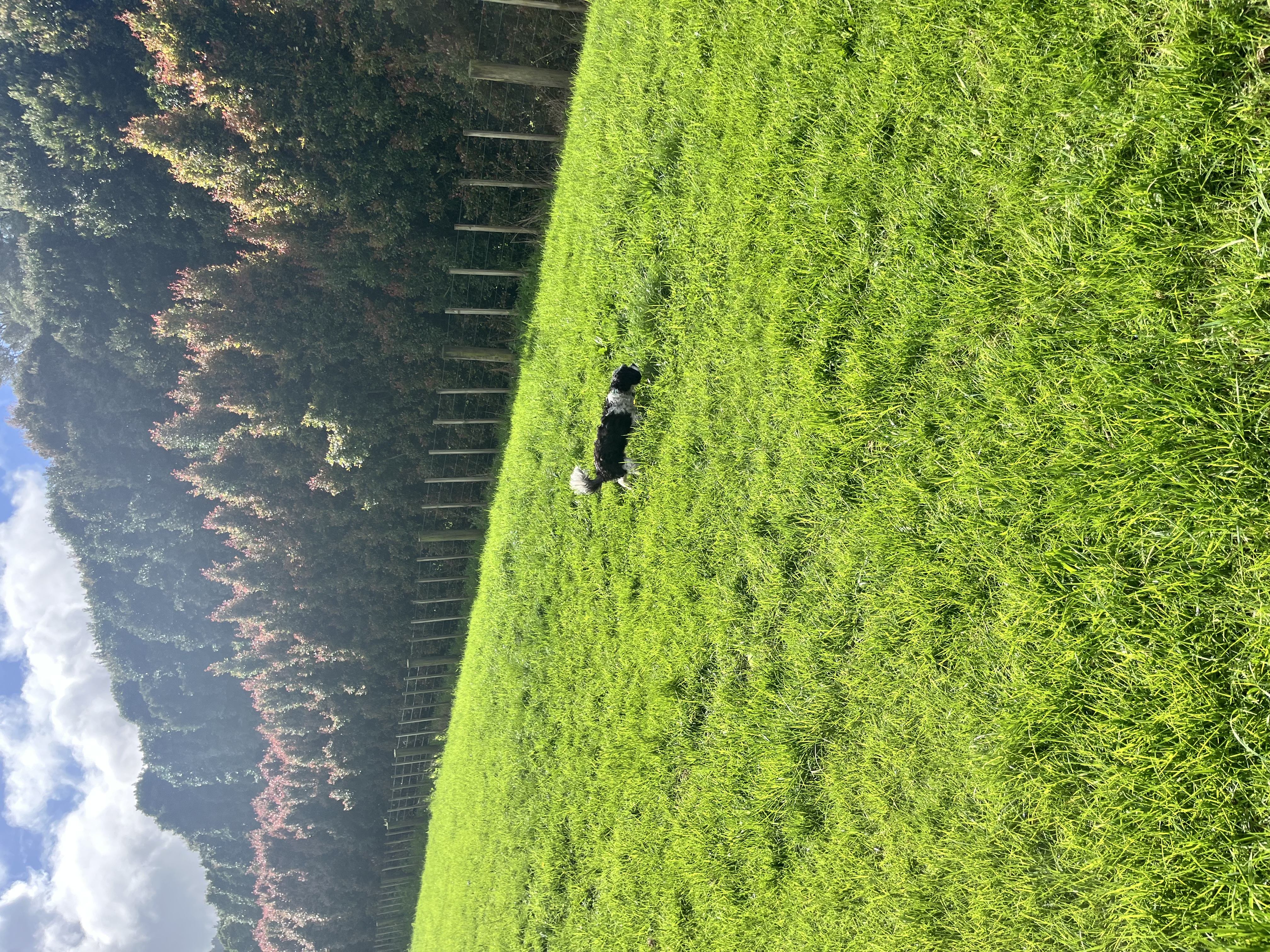 image-18