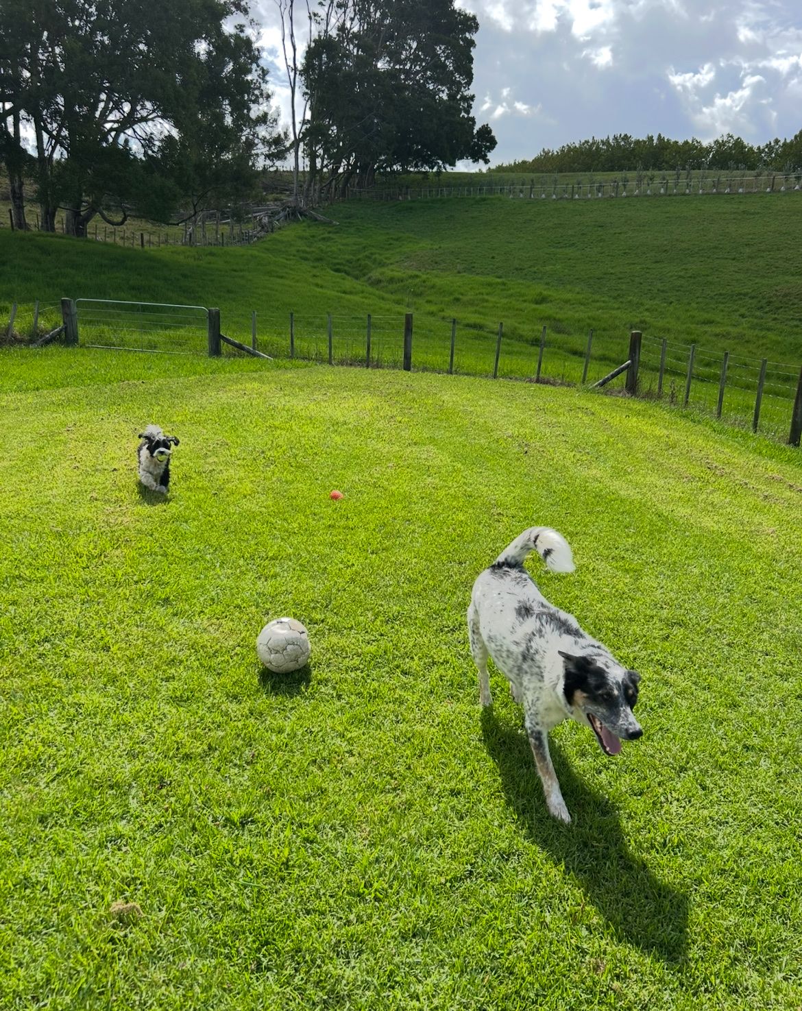 image-10
