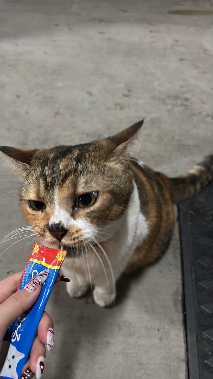 image-5