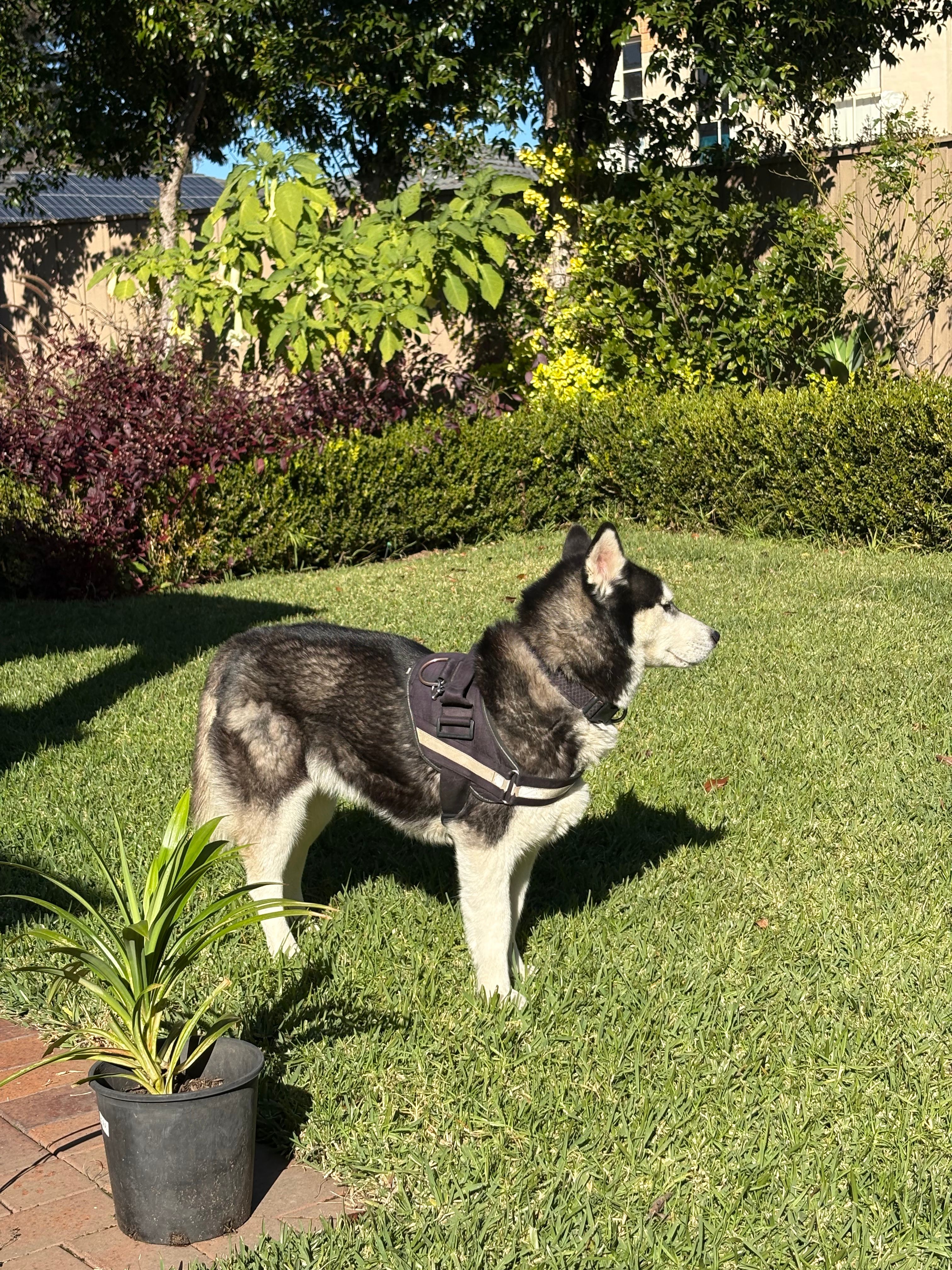 image-3