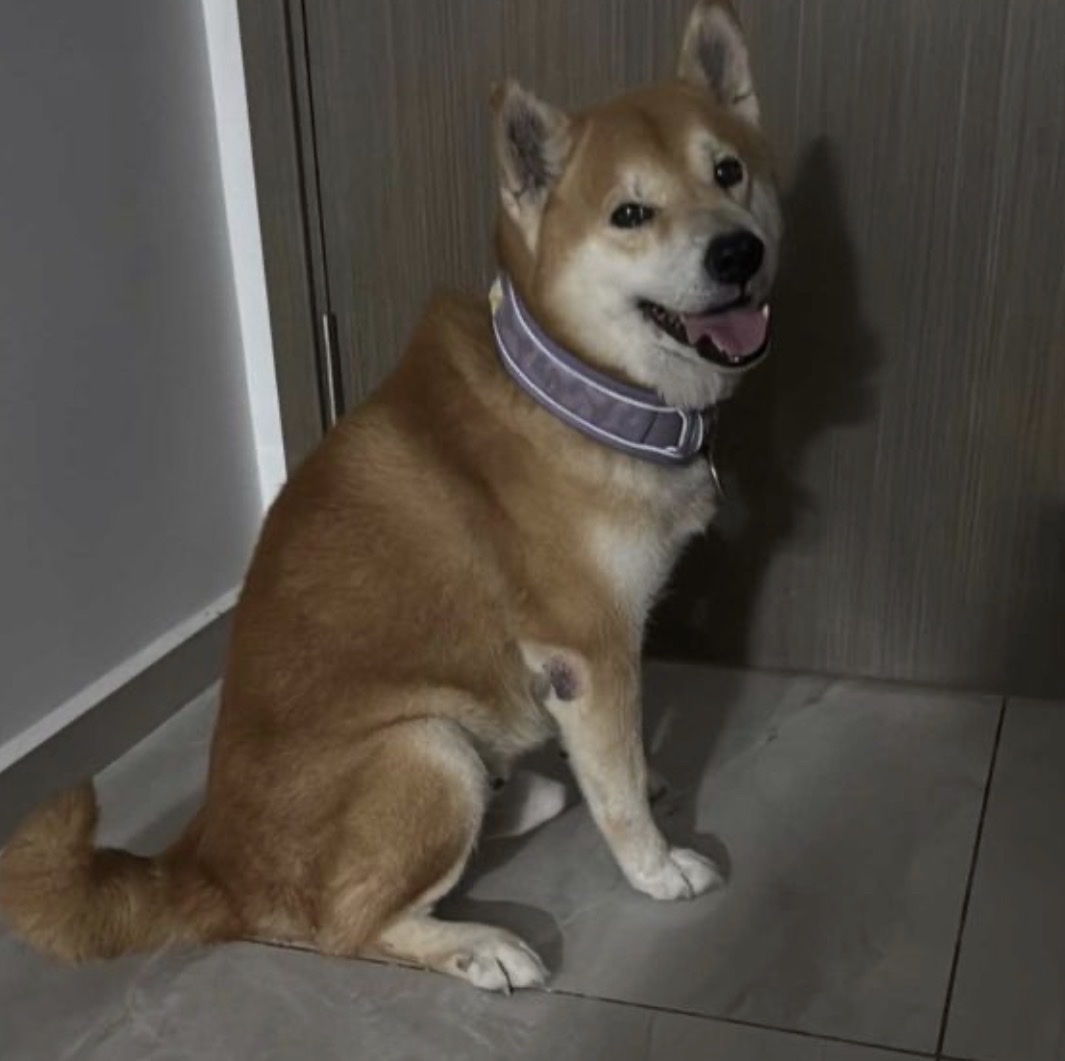 image-18