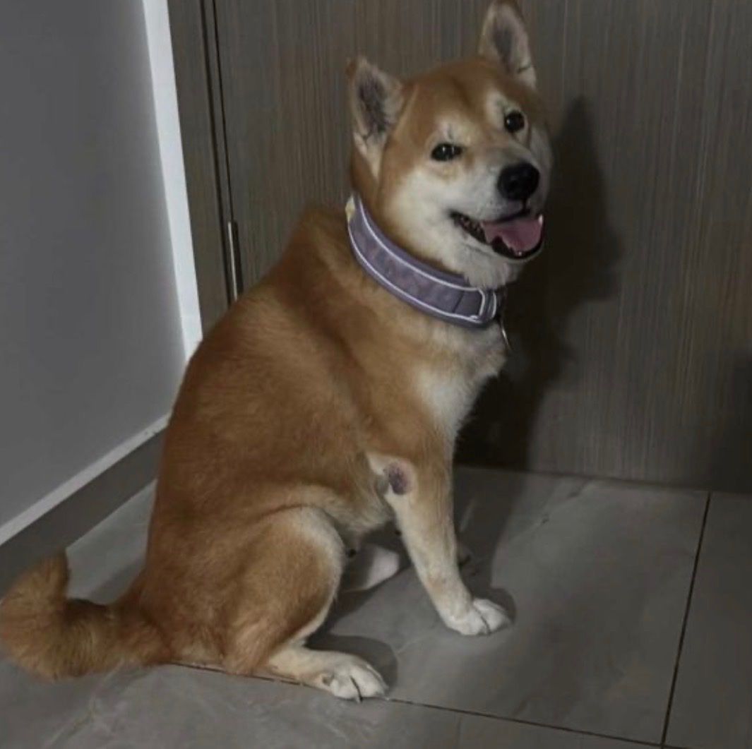 image-18