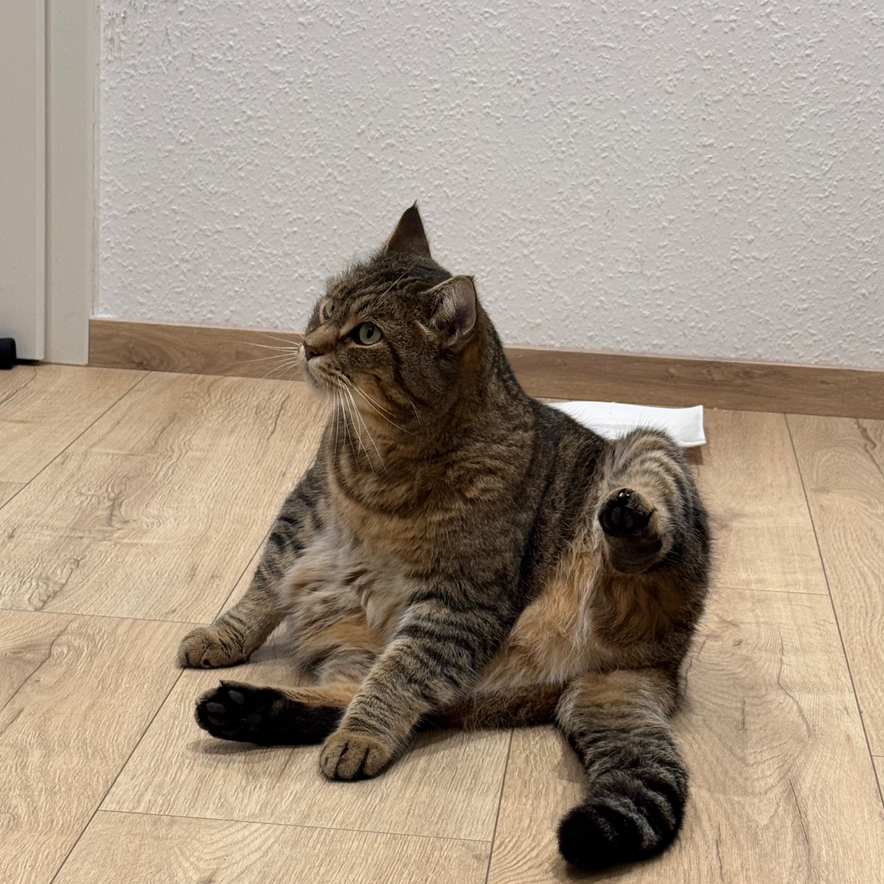 Leo