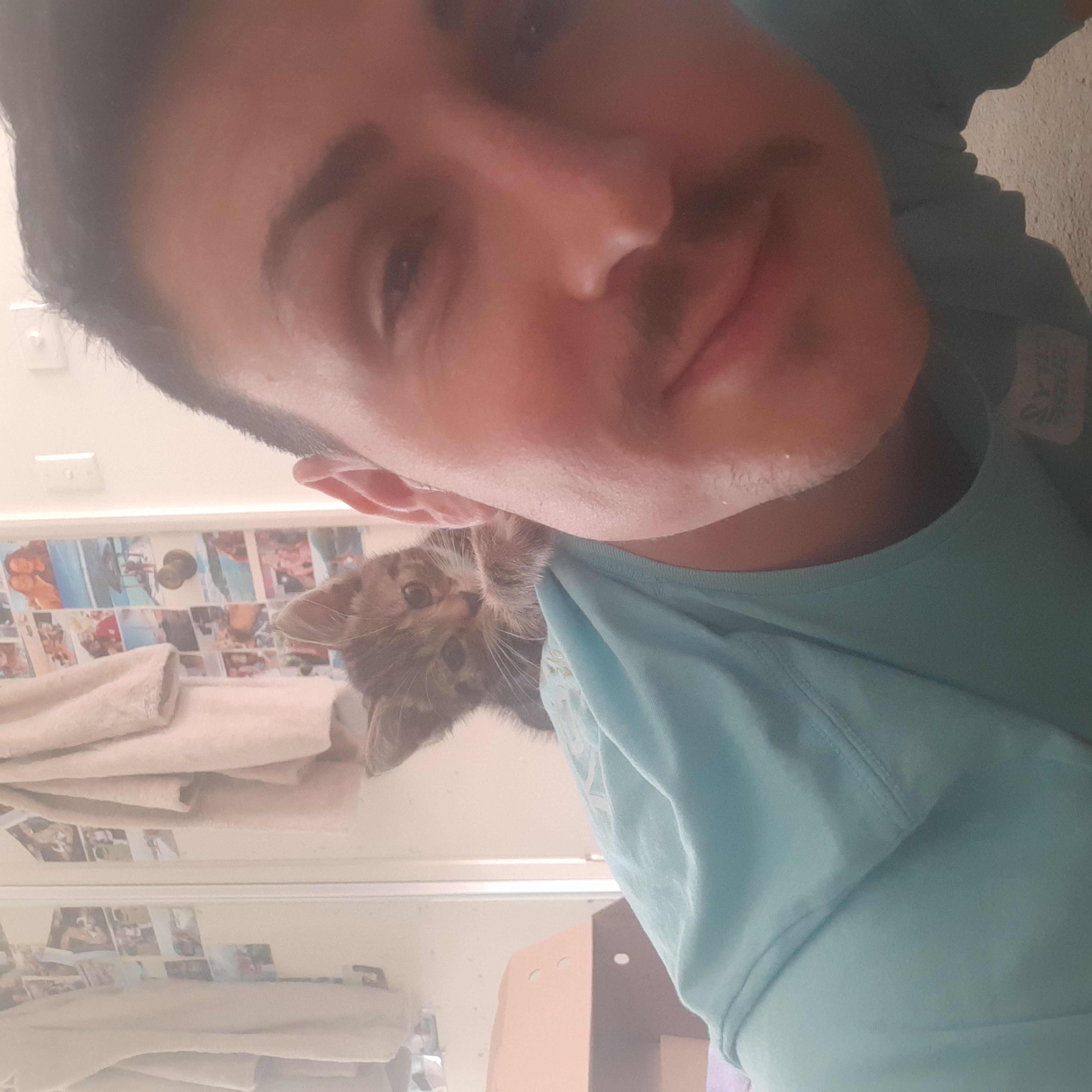 image-7