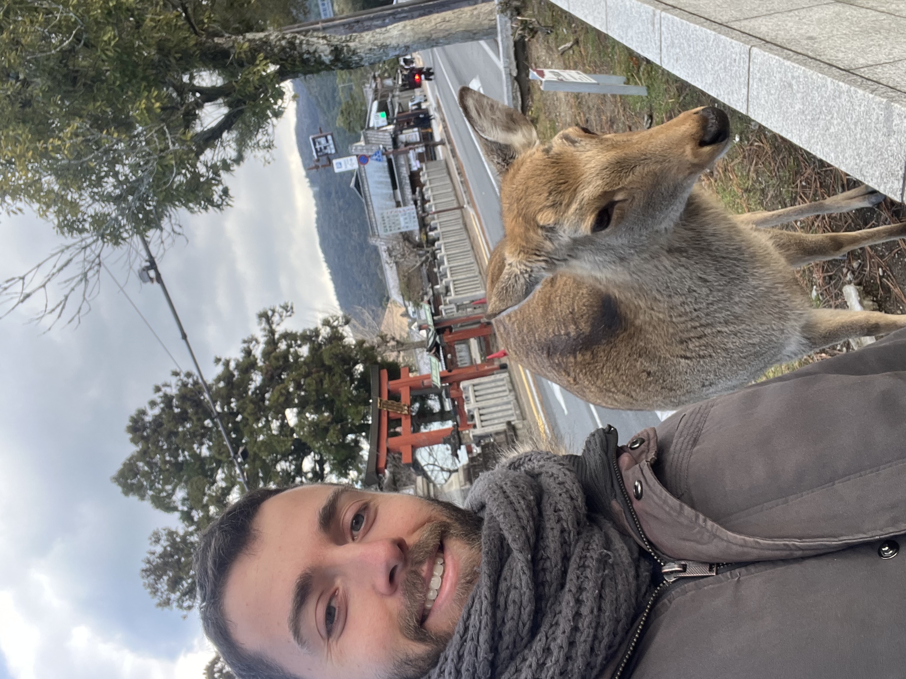 image-7