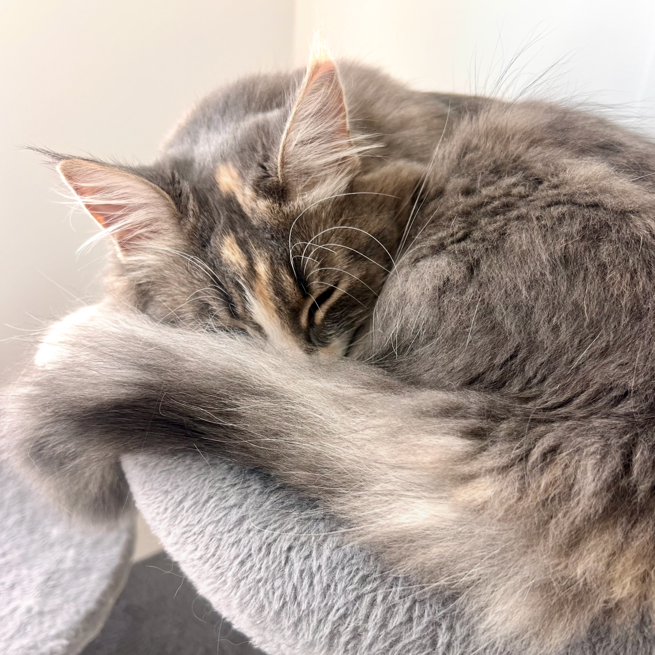 Luna