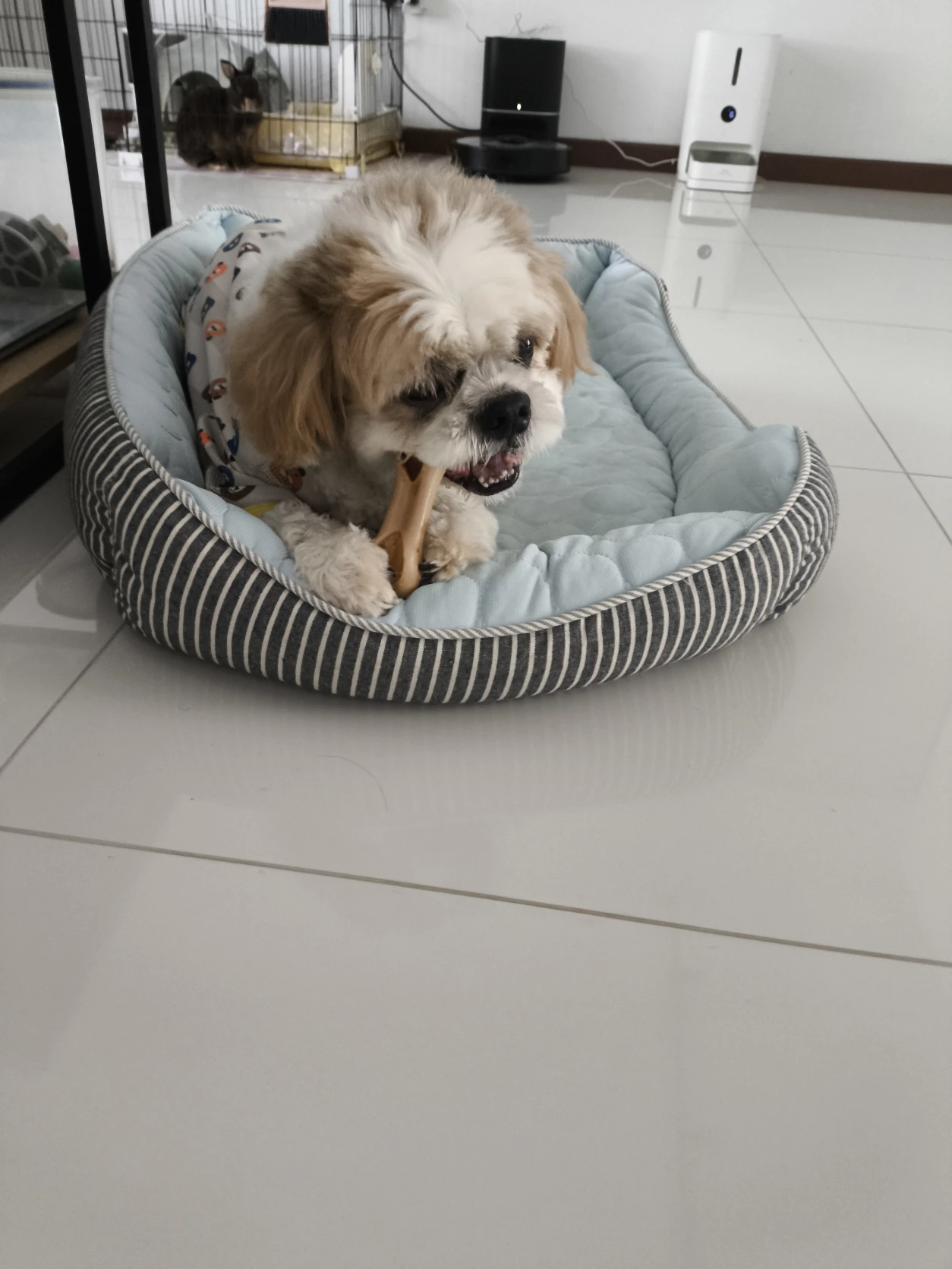 image-9