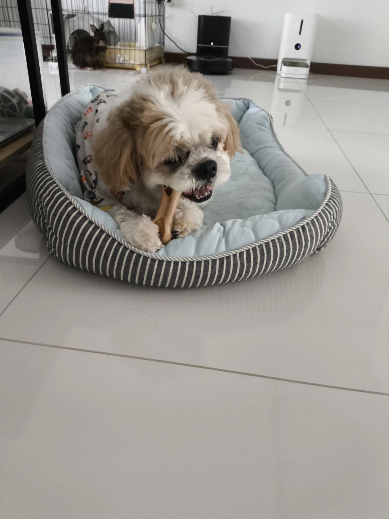 image-9