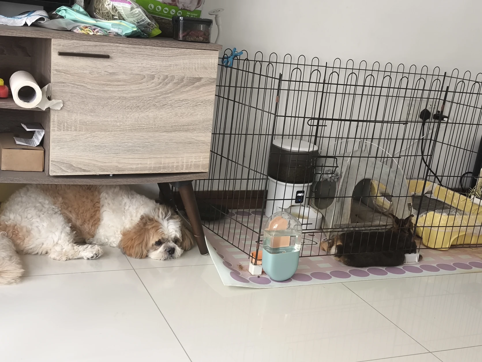 image-10
