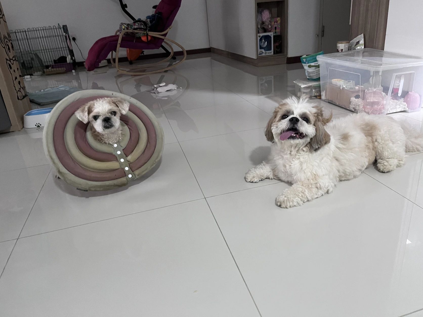 image-14