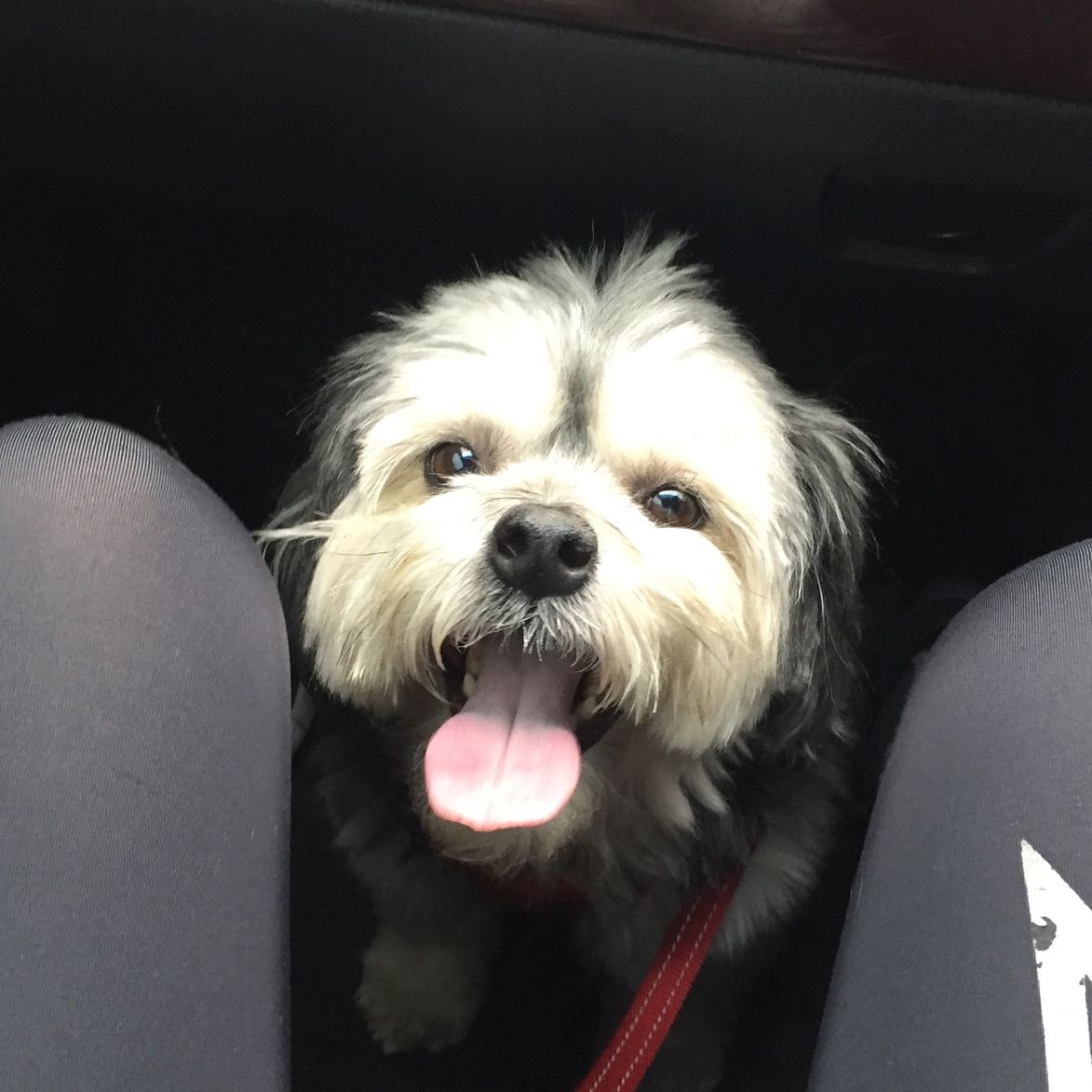 Ruby