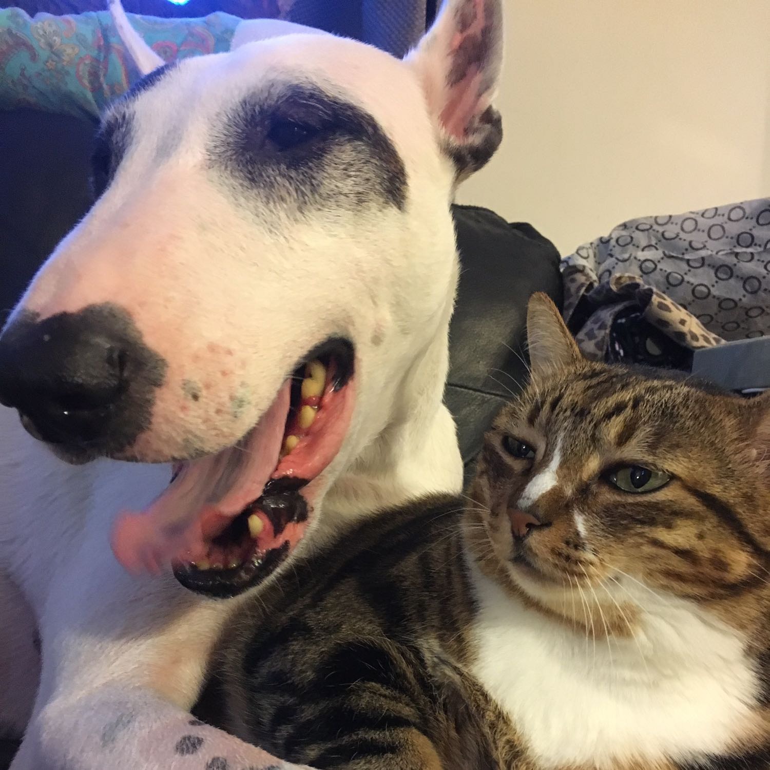 in loving memory - Pak