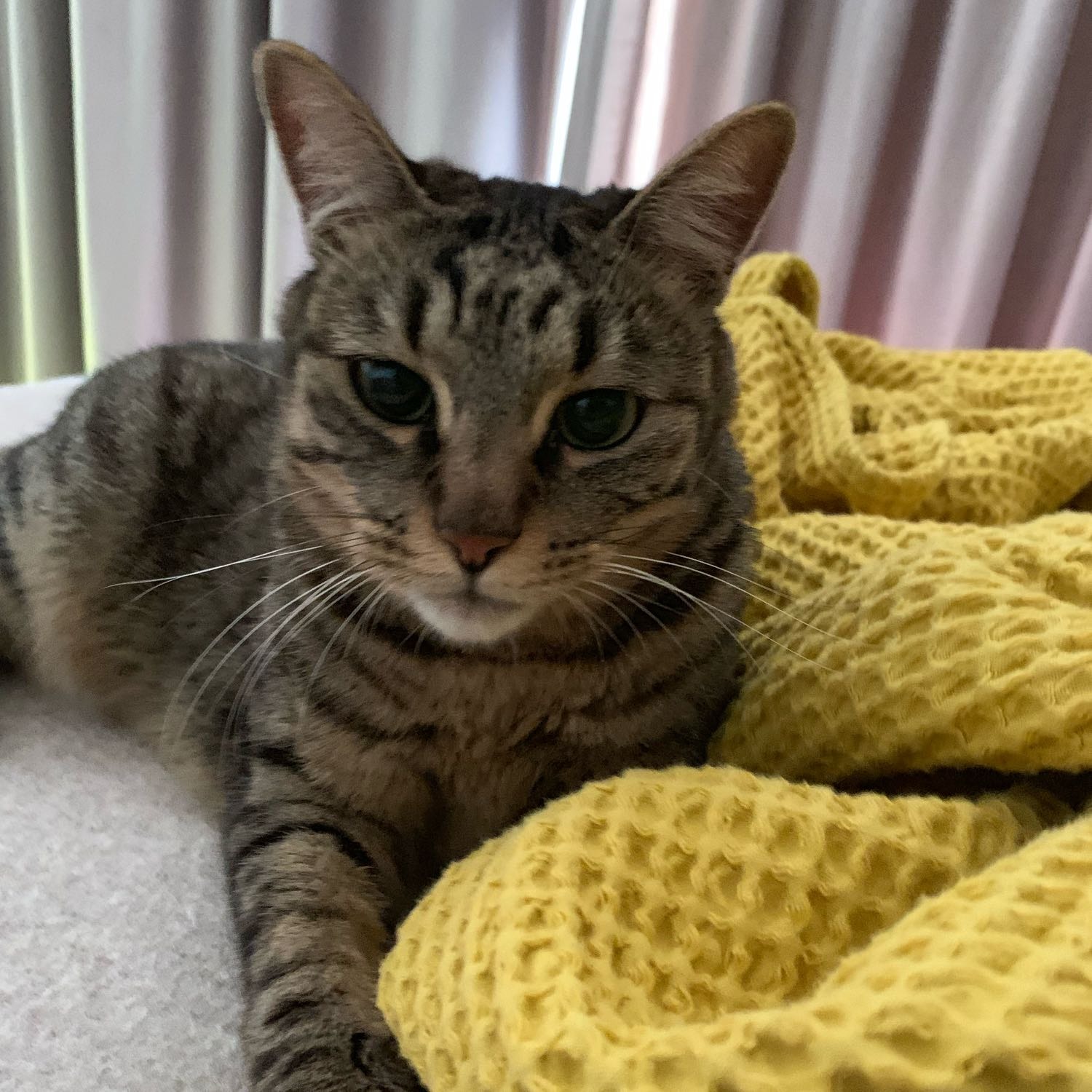 in Shanghai house - Fafa