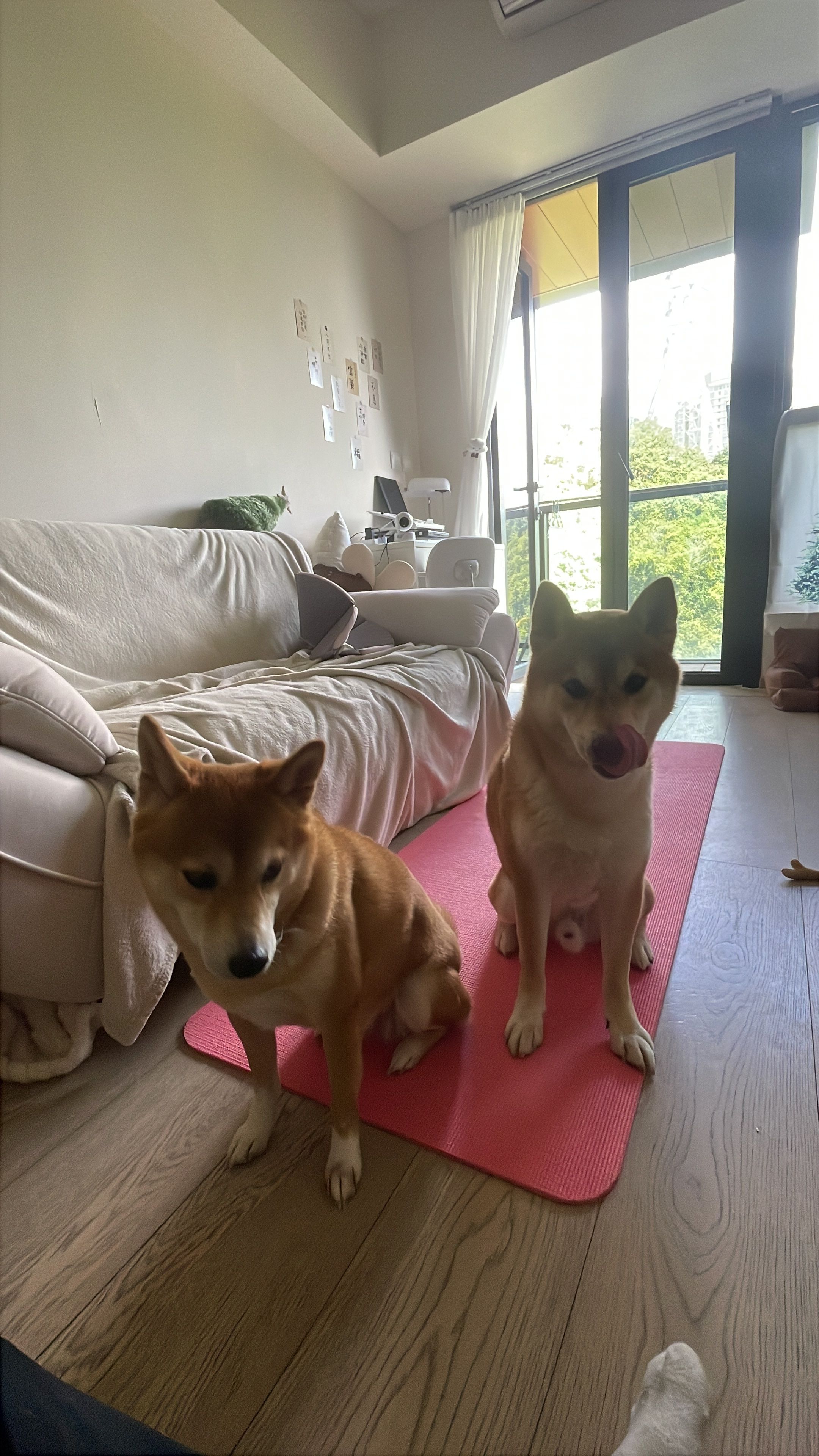 image-6