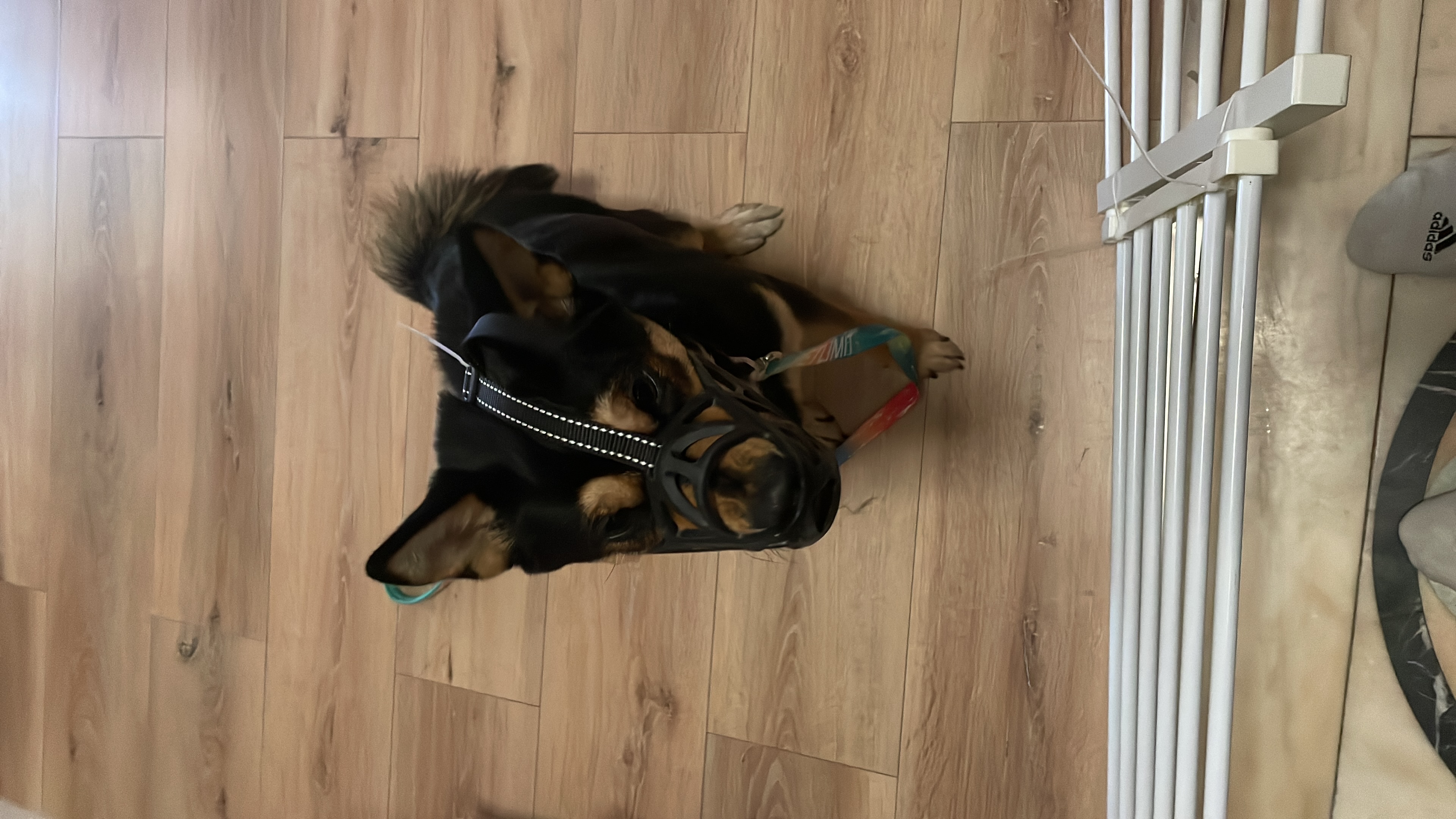 image-7