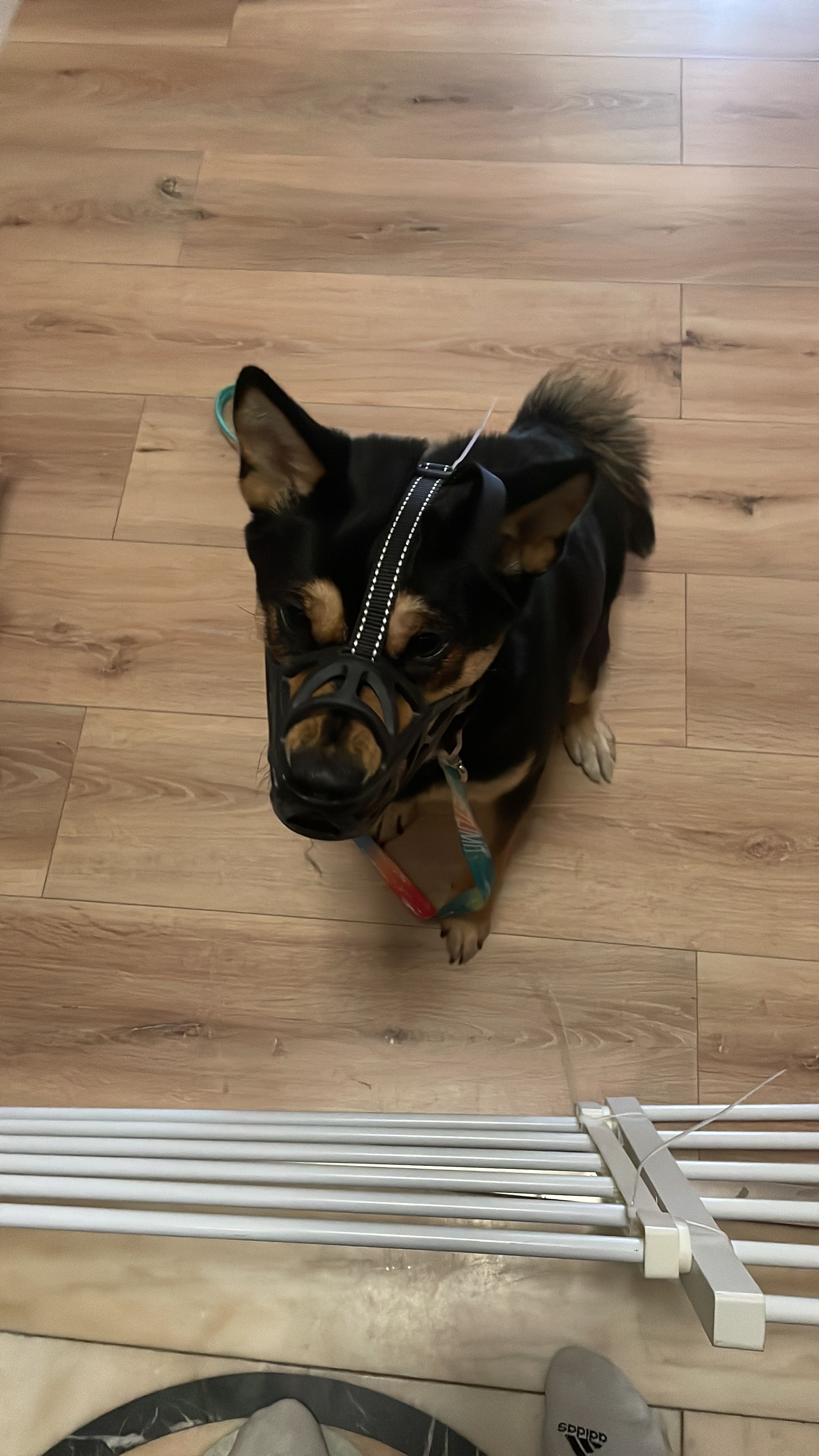 image-7