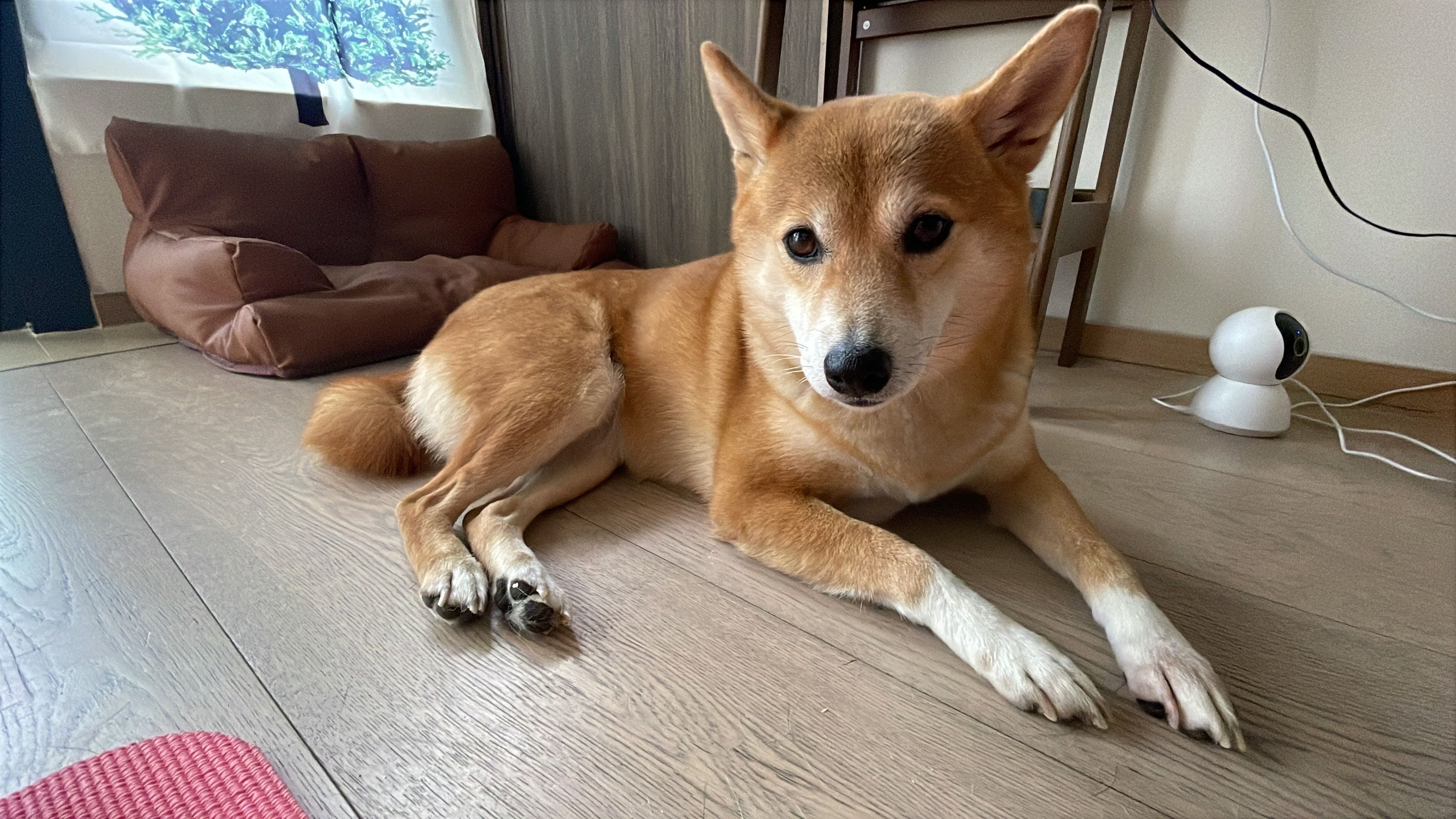 image-9