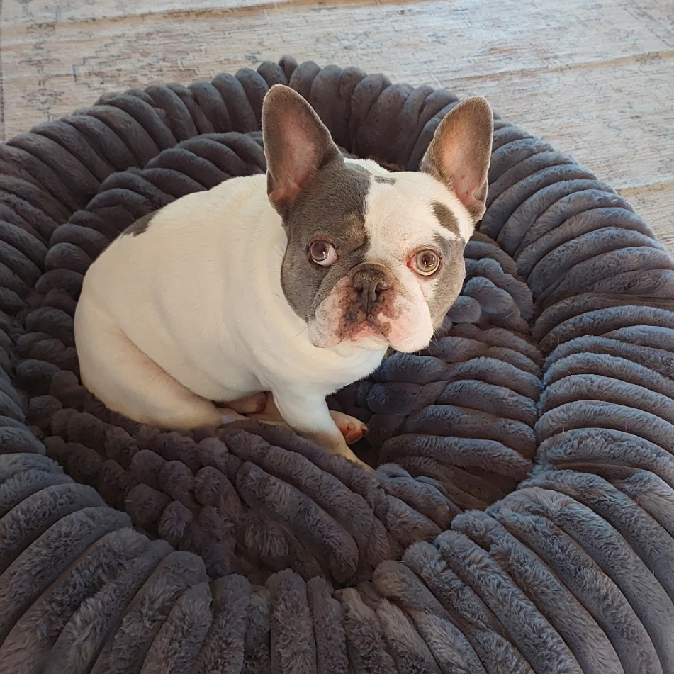 Billy