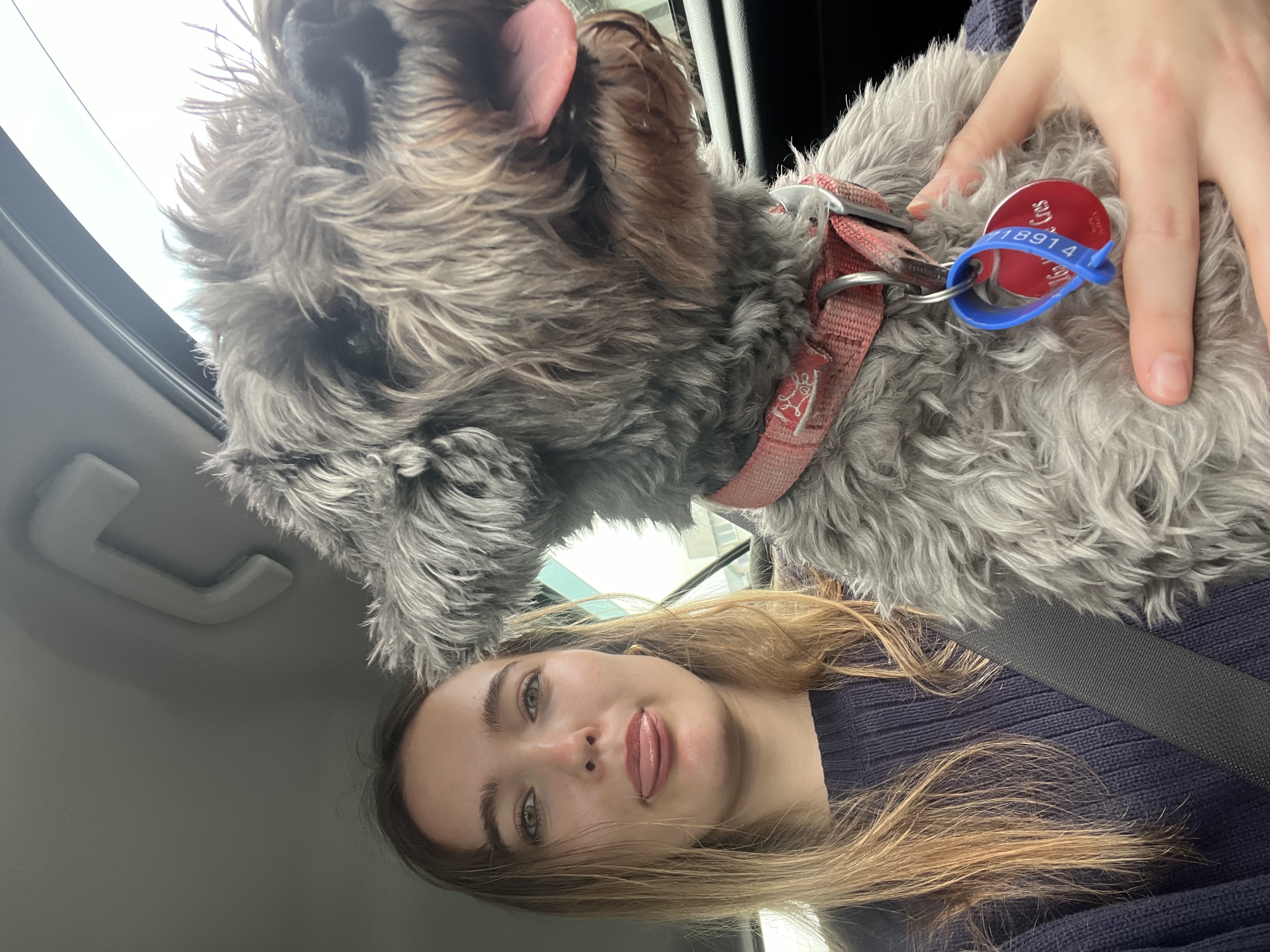 image-6