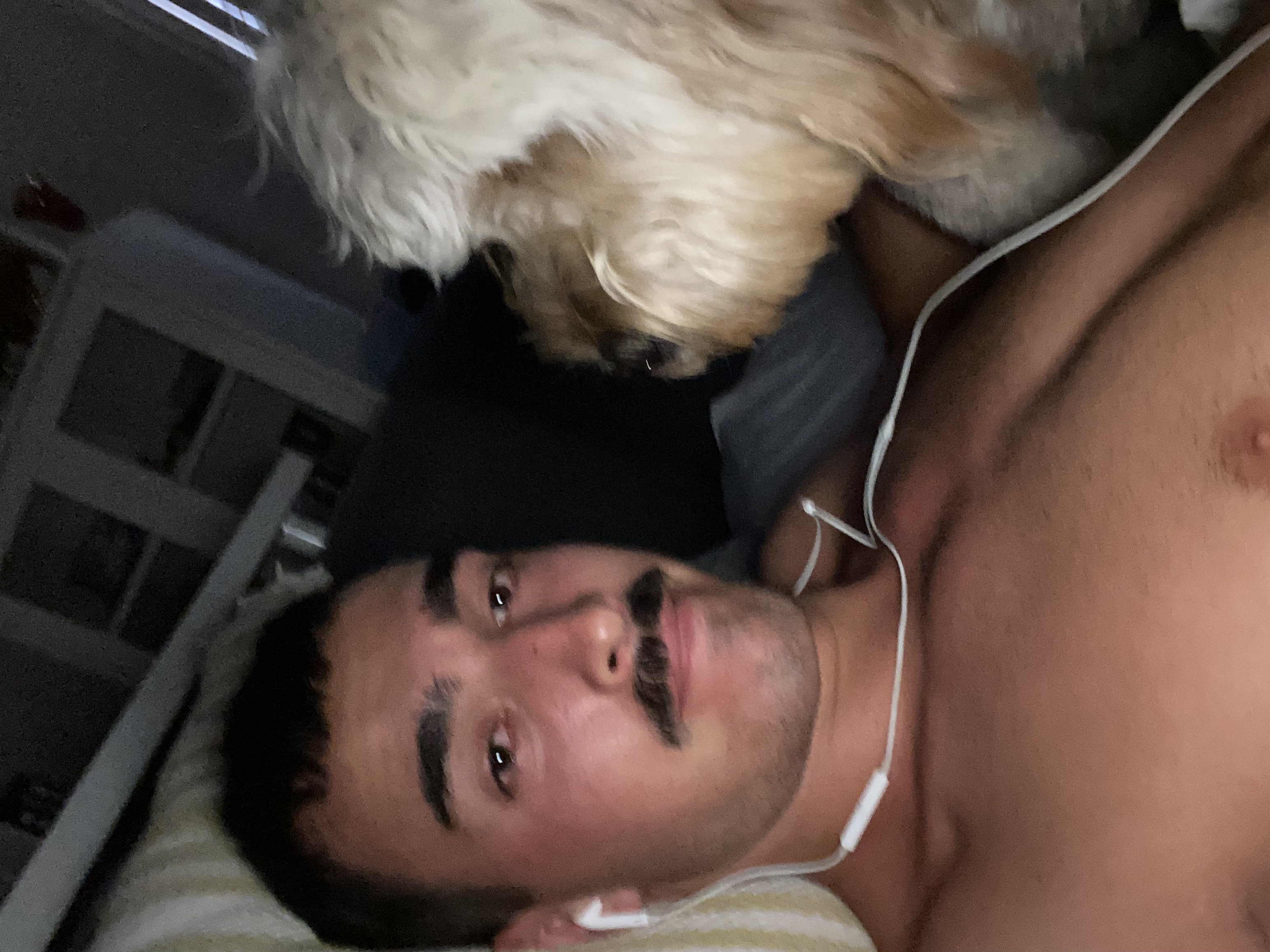 image-7