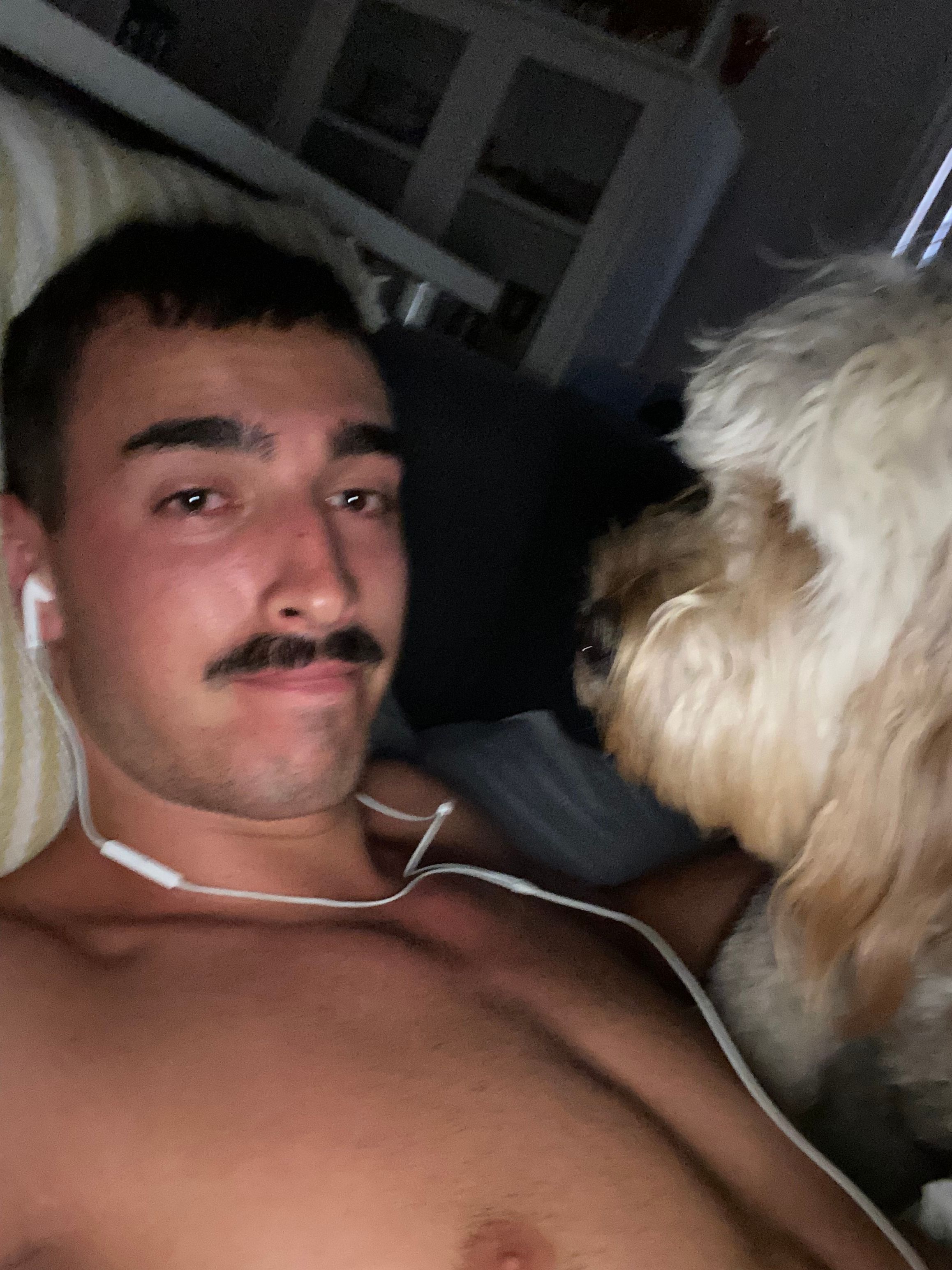 image-7