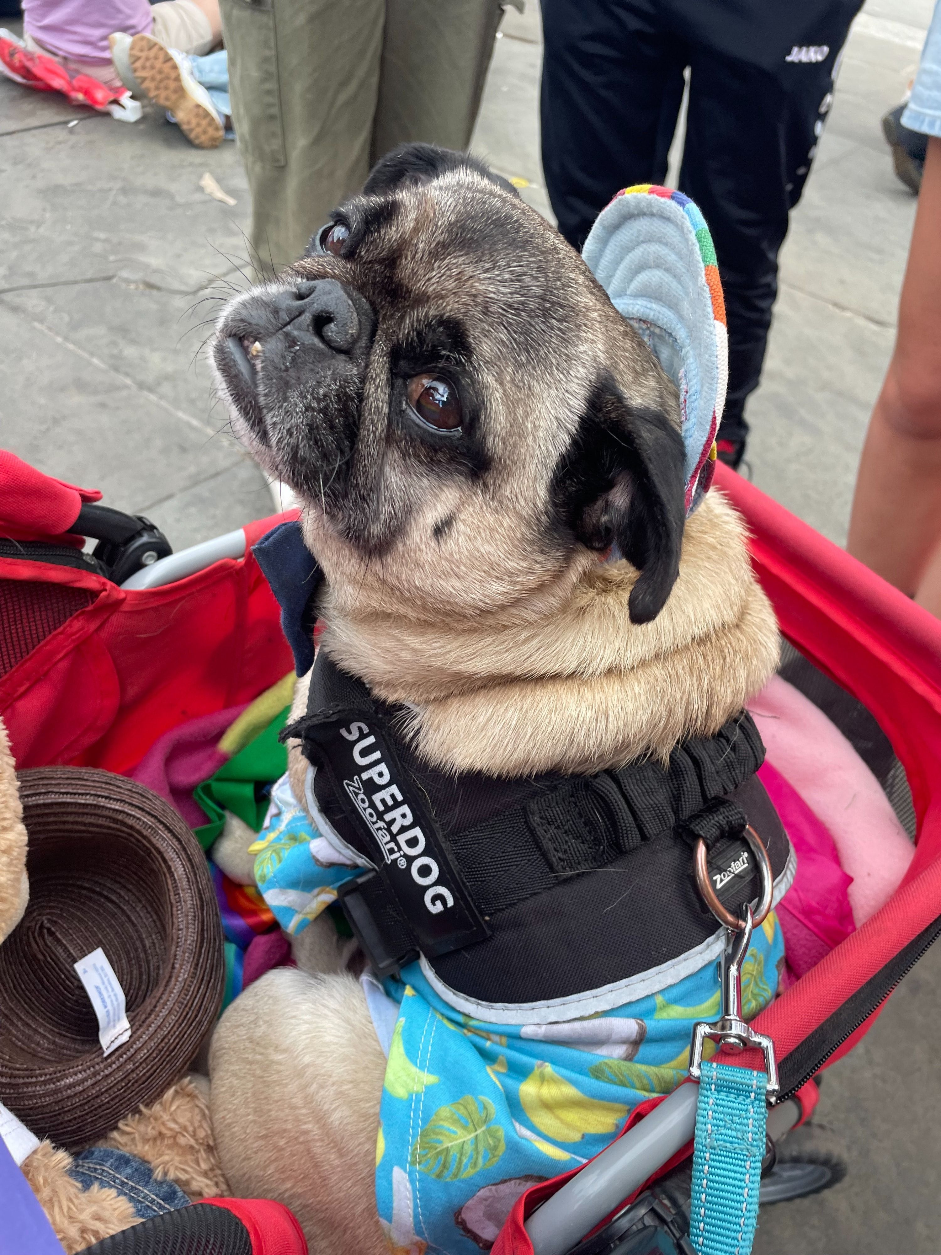image-0