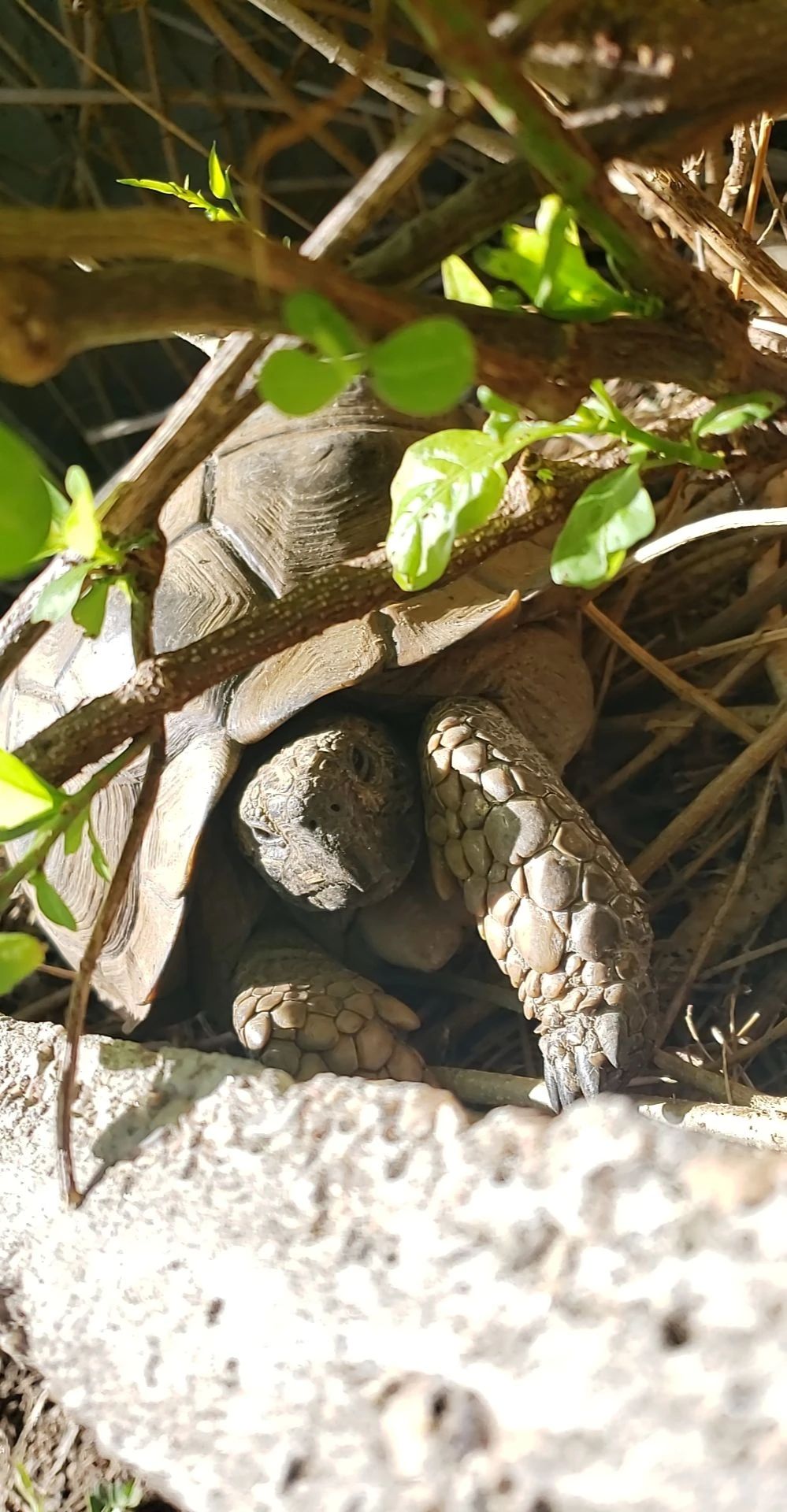 image-8