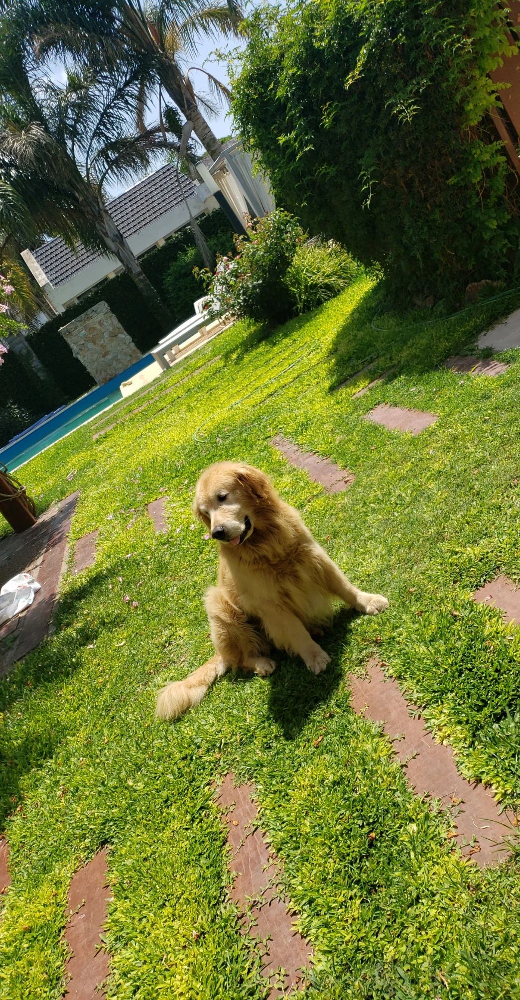 image-56