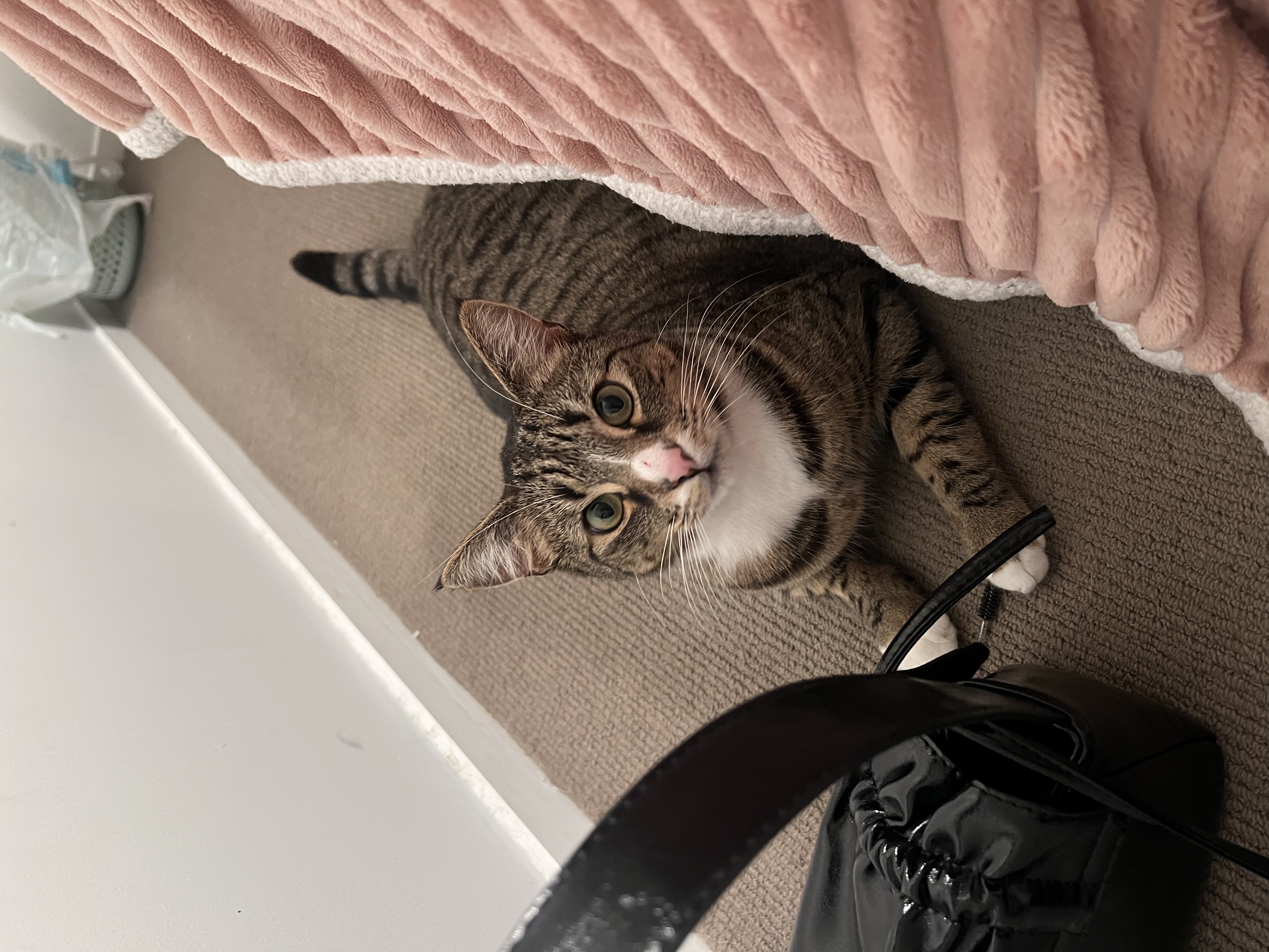 image-4