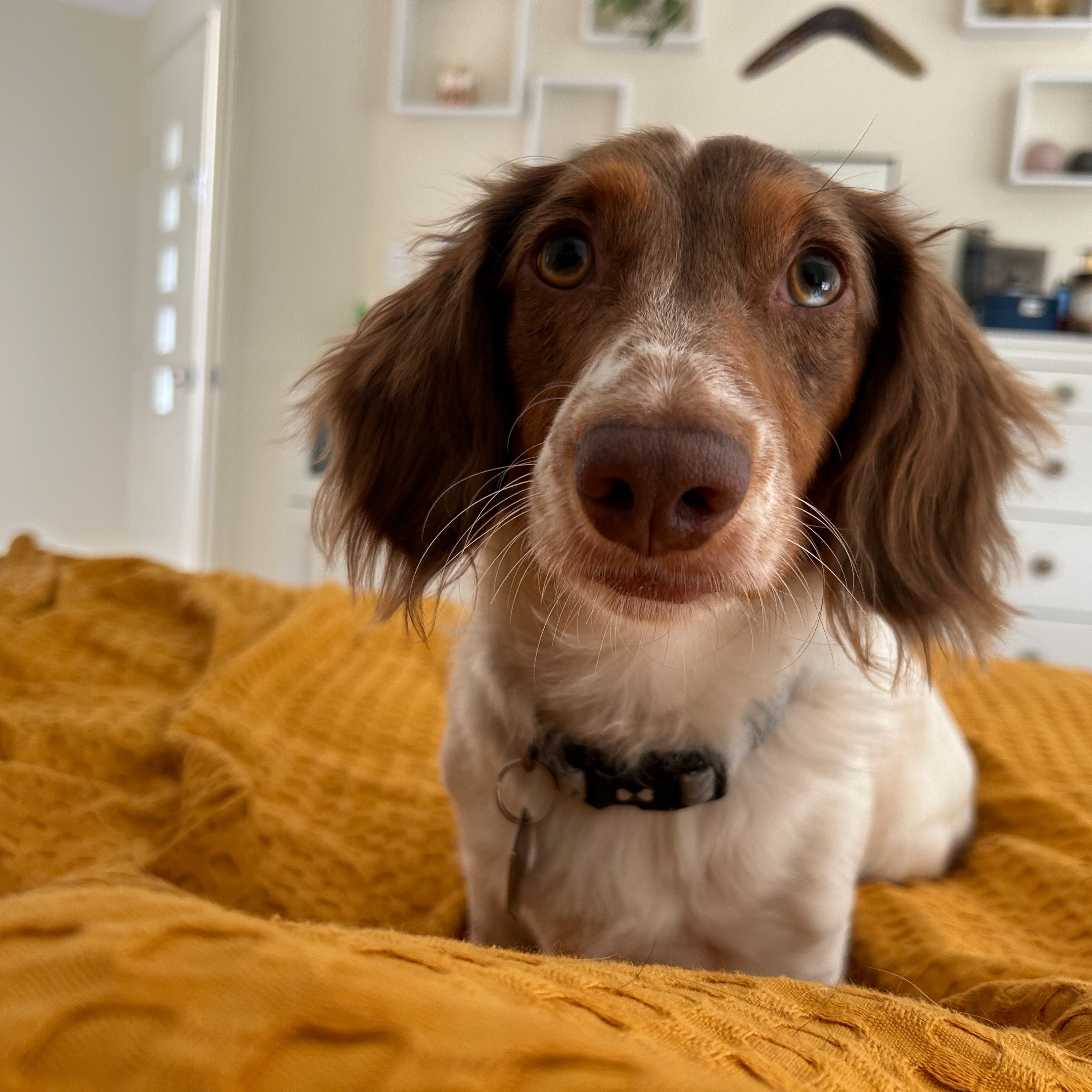 Henry Theo Murphy