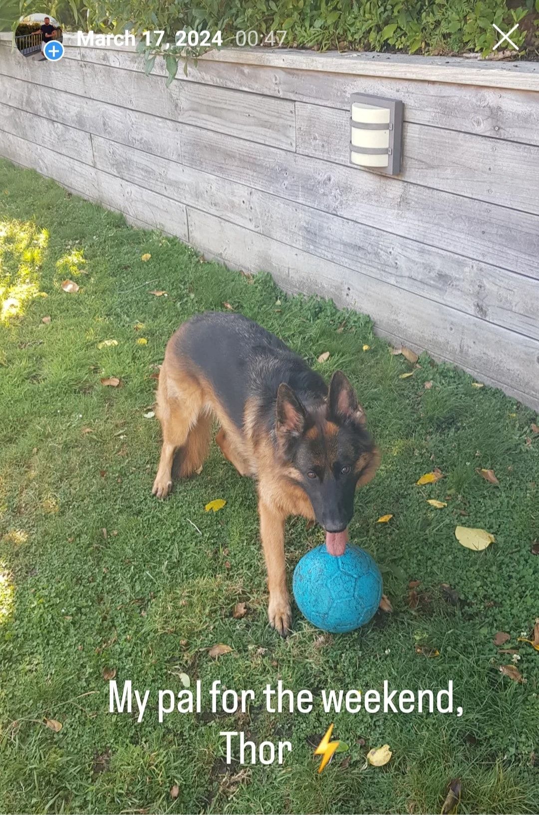 image-6