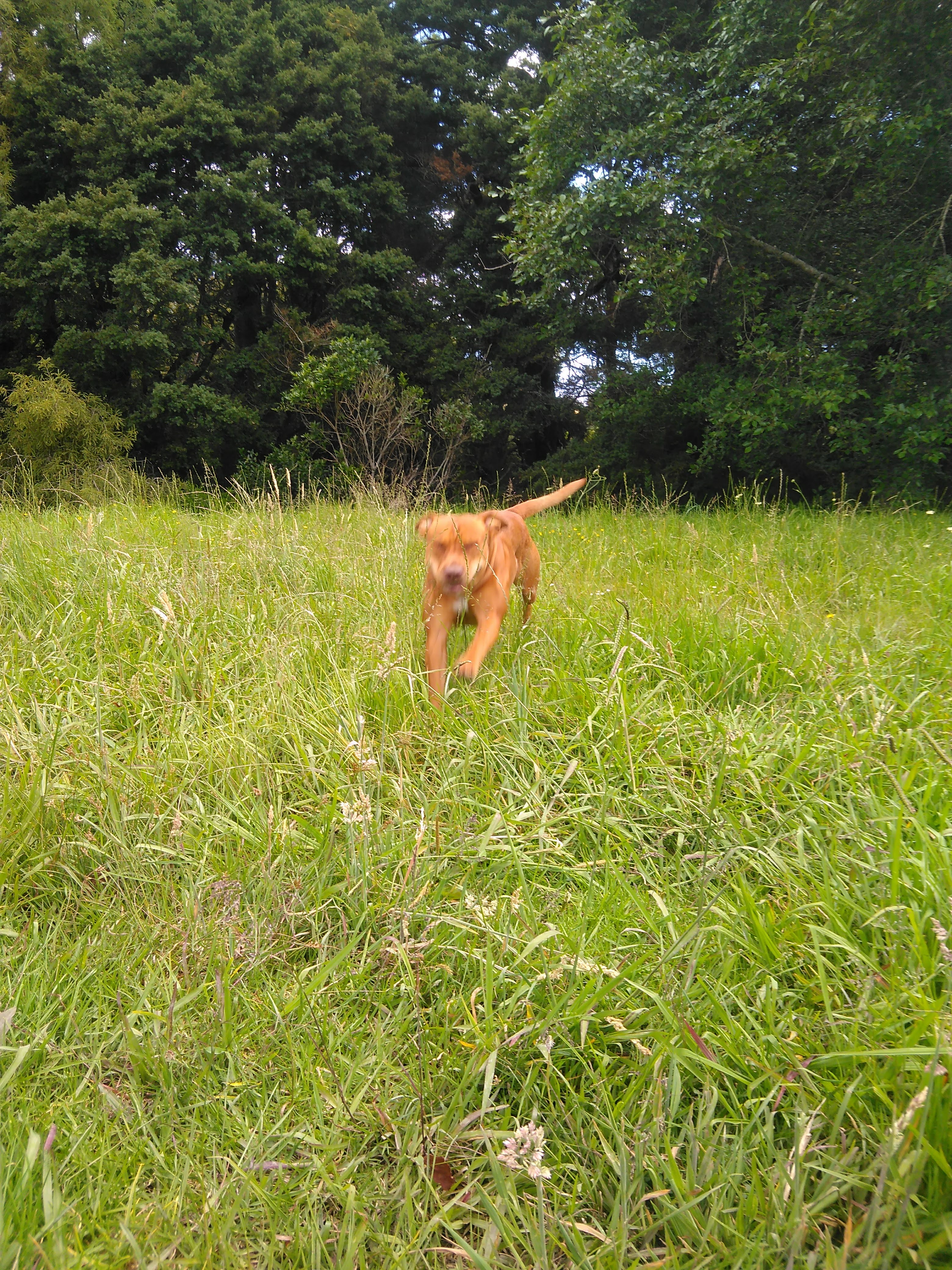 image-2