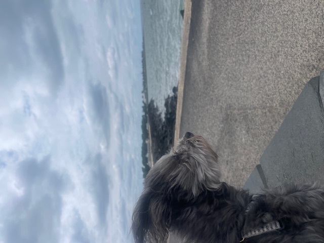 image-2