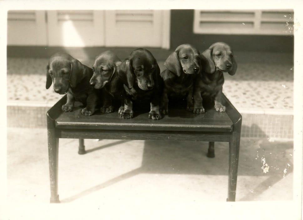 image-2